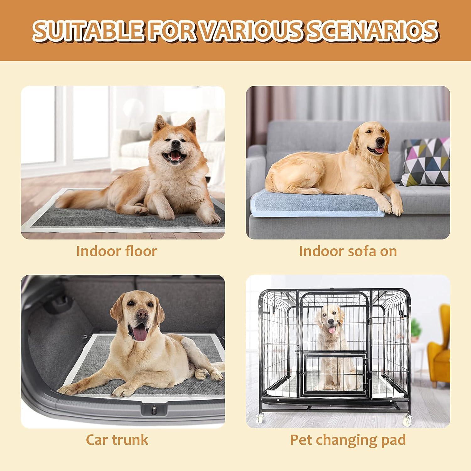 Alfombrillas para orinar perros XL HIDOGGYLD 18 unidades 86x71 cm