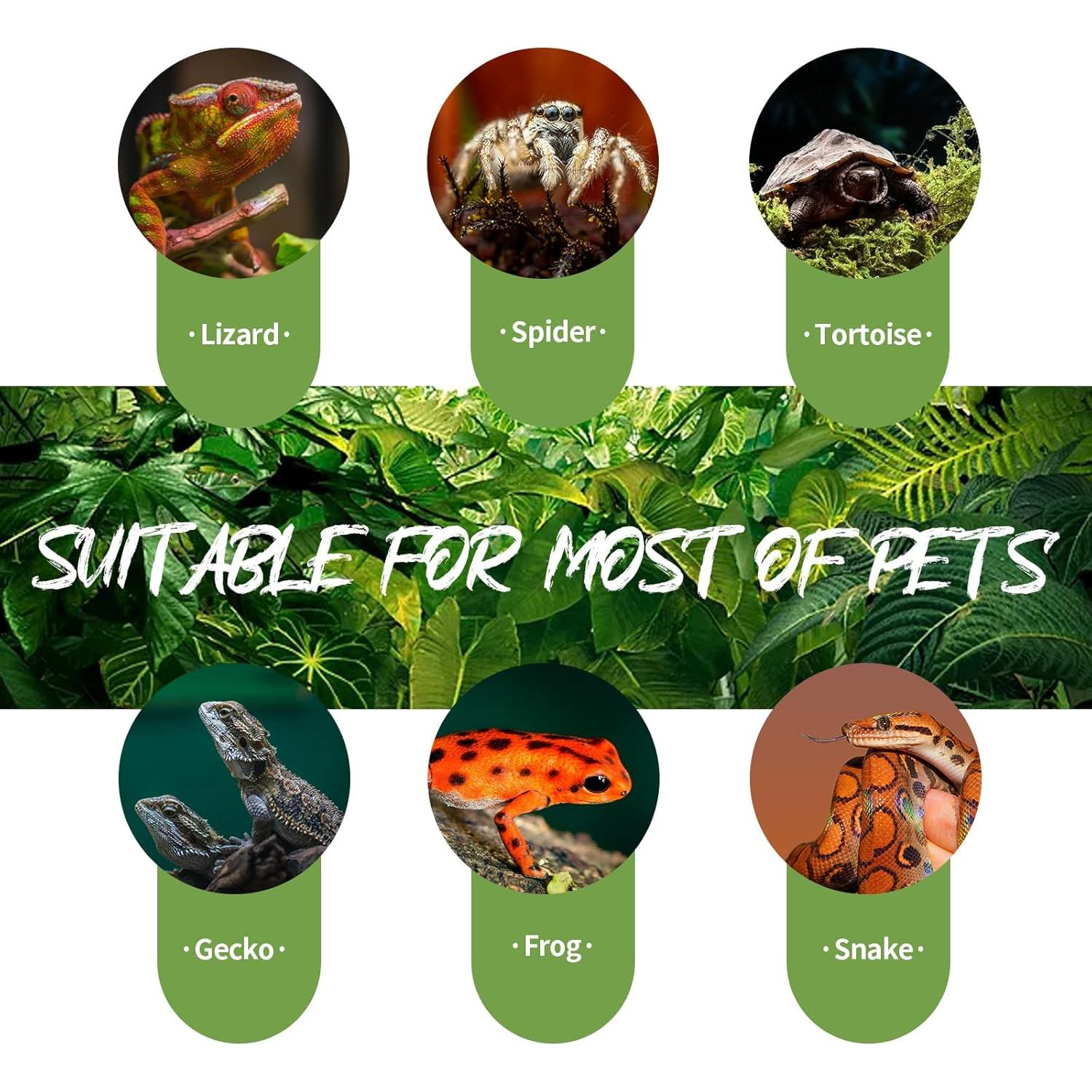 Lámpara de Calor Infrarroja OMAYKEY 75W para Reptiles