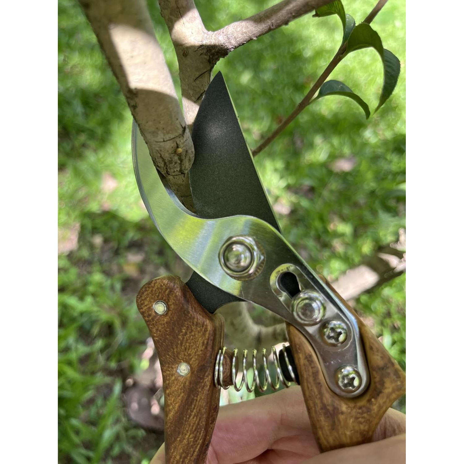 Garden Shears, Japanese Floral branch cutters, Snips for Gardening, Flower scissors Florist clippers, Hand Held Pruners for Gardening Heavy Duty, Pruning shears for garden (Wood Black)