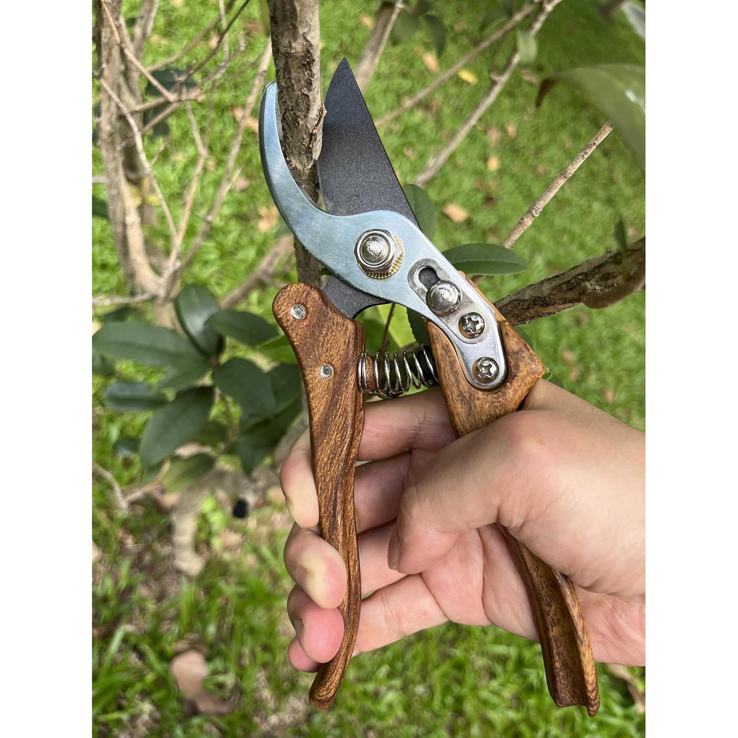 Garden Shears, Japanese Floral branch cutters, Snips for Gardening, Flower scissors Florist clippers, Hand Held Pruners for Gardening Heavy Duty, Pruning shears for garden (Wood Black)