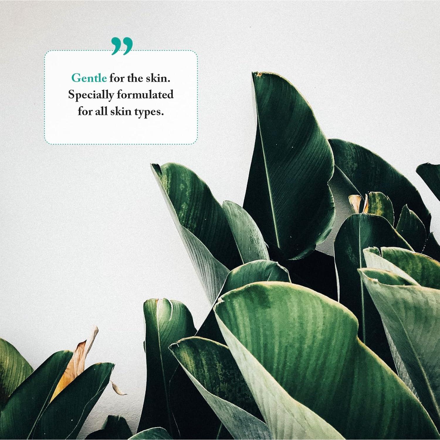 Jabón de Manos Espumoso Bayes 325g Romero Menta Hidratante