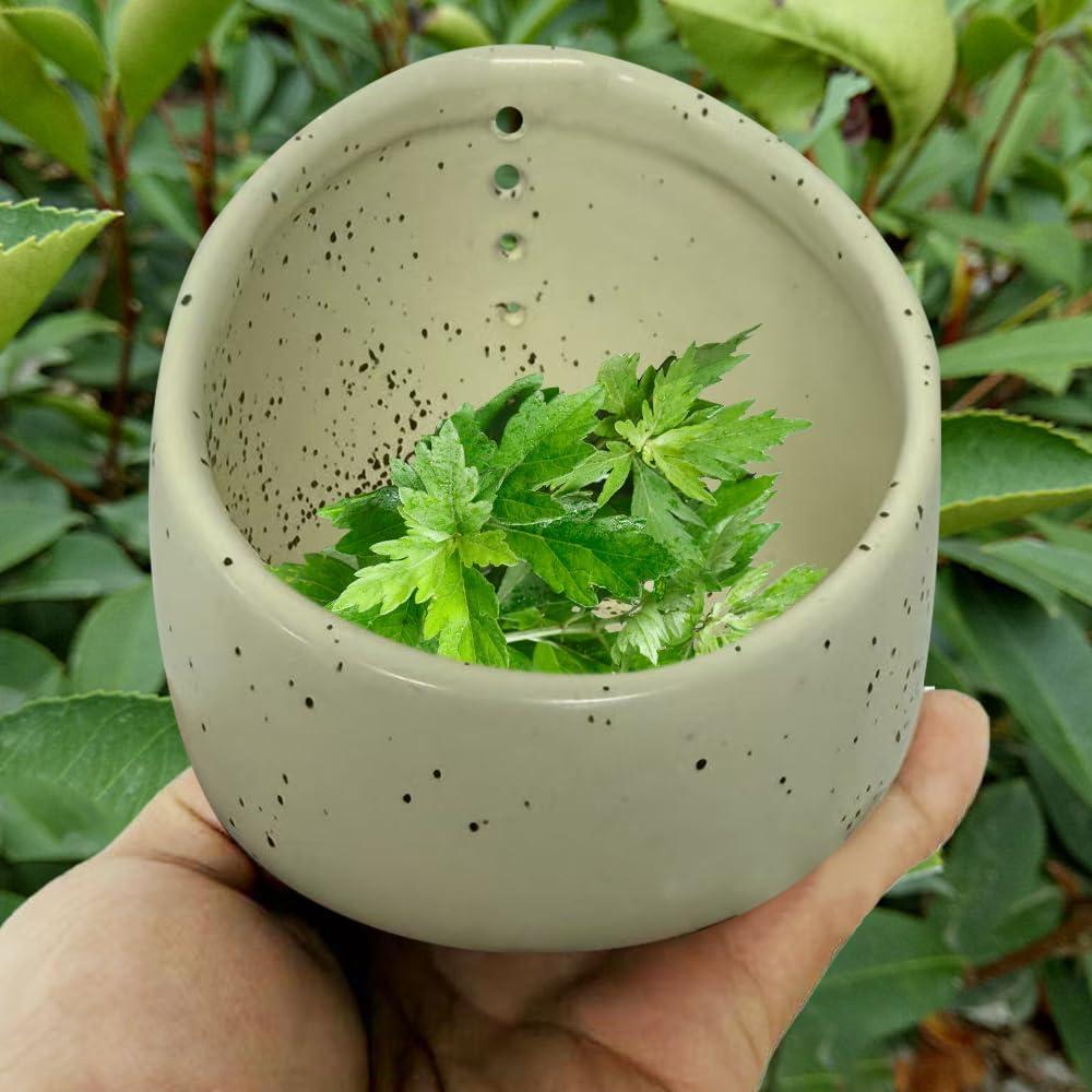 Tazón Deshojador de Hierbas Cerámica Genérico 200g Multifuncional