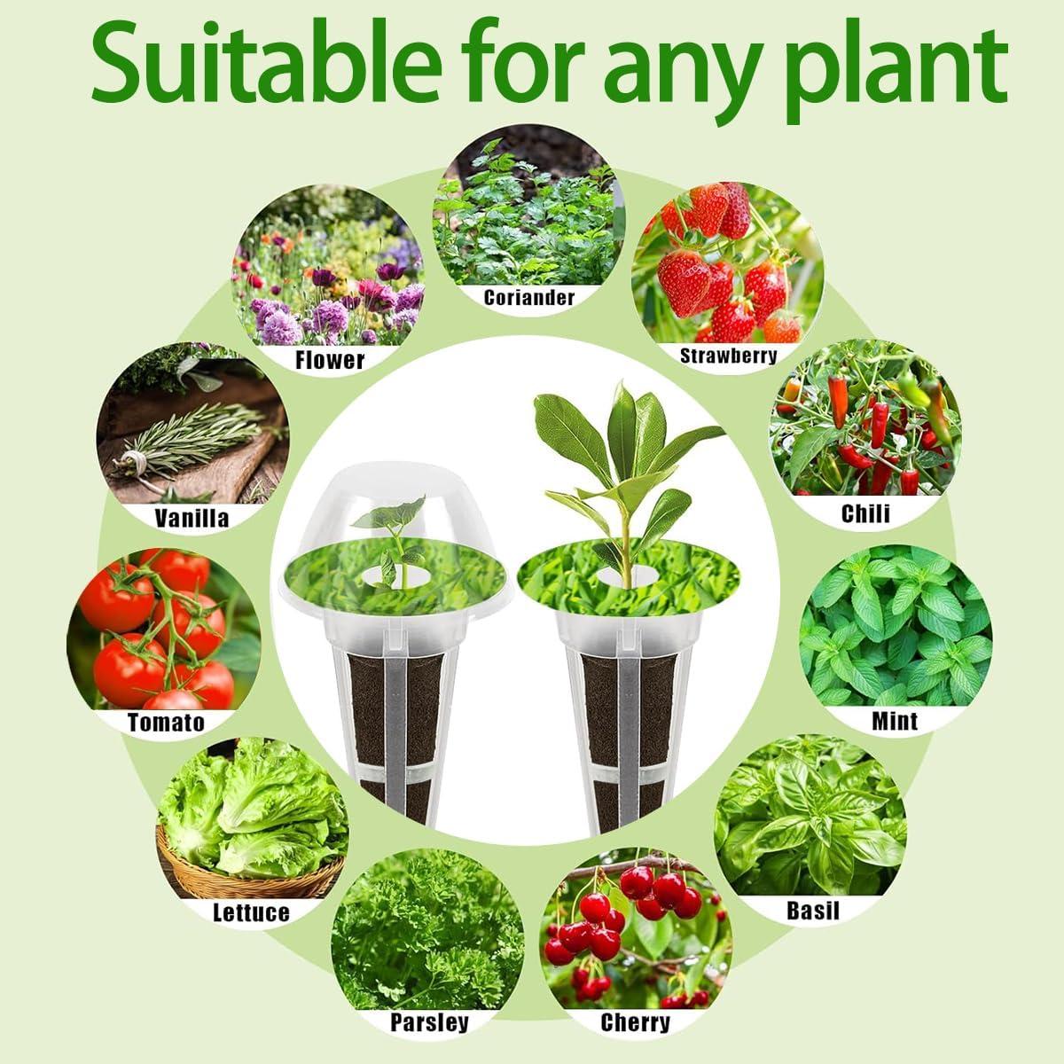 Kit de Cápsulas de Semillas 67 Piezas Natalolo Hidroponía