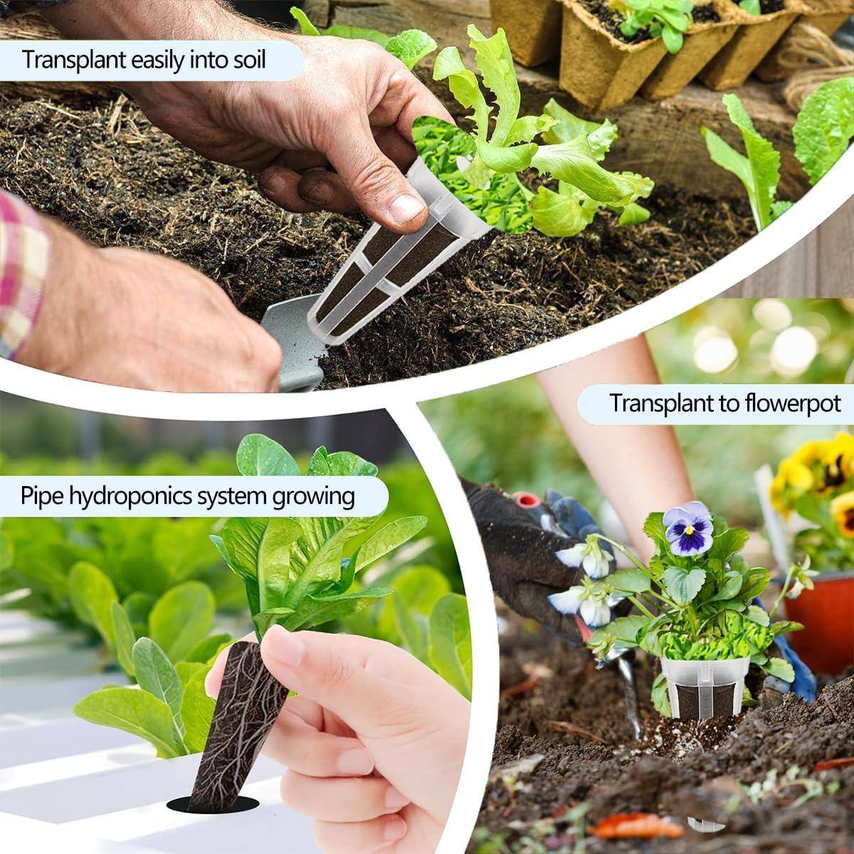 Kit de Cápsulas de Semillas 67 Piezas Natalolo Hidroponía