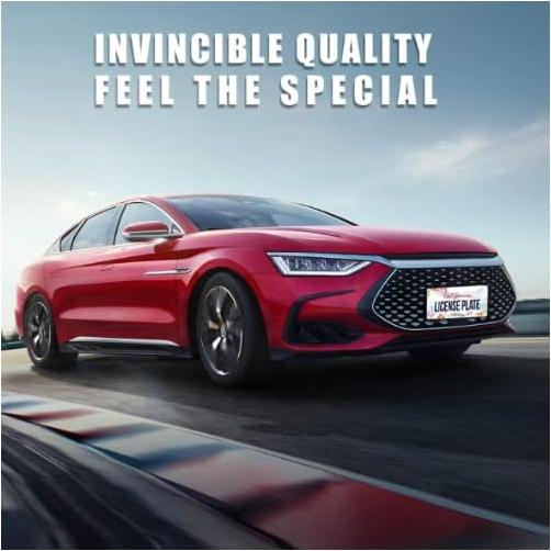 Marco de Placa de Licencia NINANMY Acero Inoxidable 30.5x15.2cm