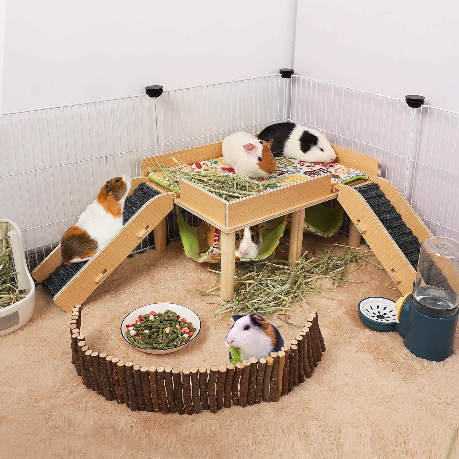 Hamaca Doble para Cobayas MEWTOGO con Plataforma y Escaleras