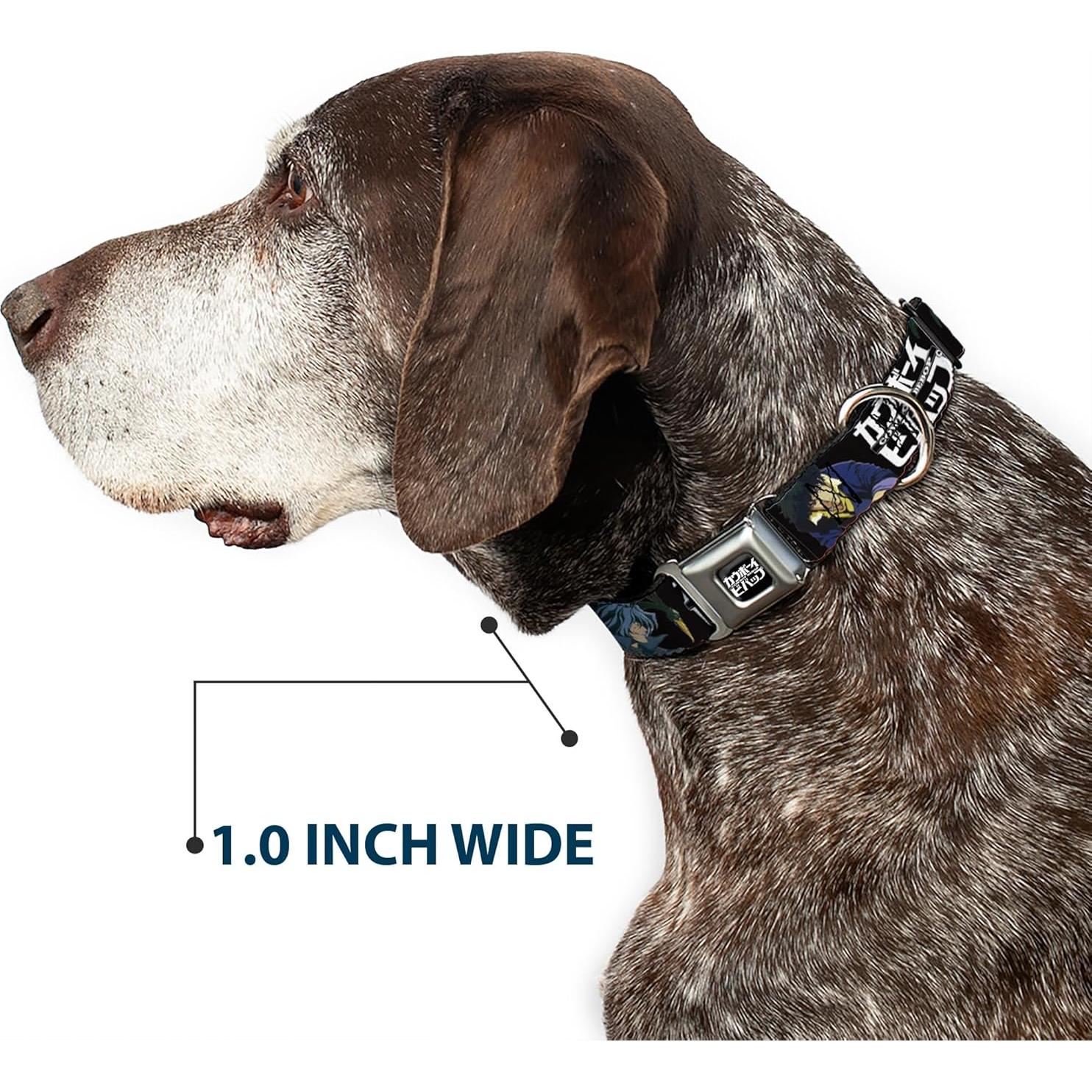 Collar para Perro Crunchyroll Cowboy Bebop Spike 24.1-33 cm