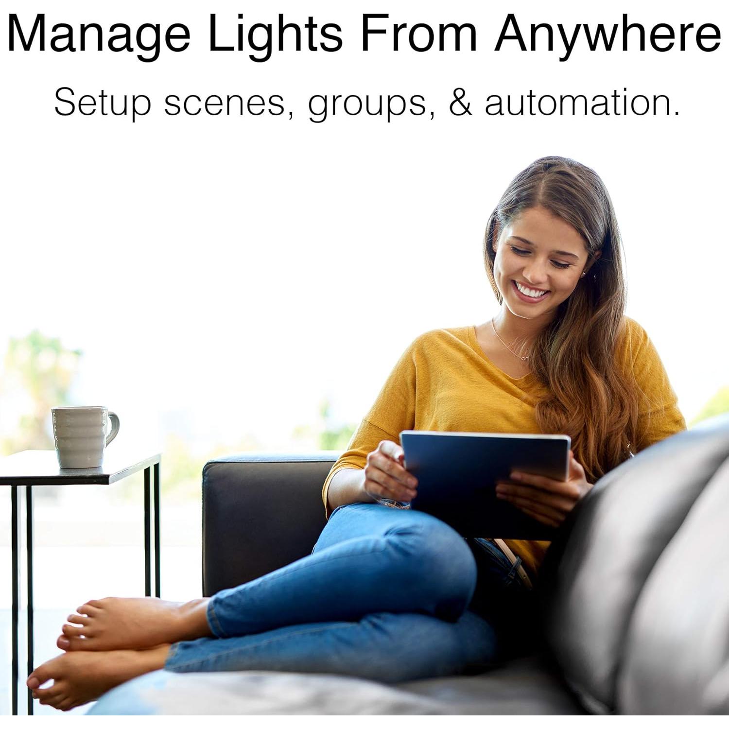 Enchufe Inteligente Legrand HKRP20, Control por Voz, 60W