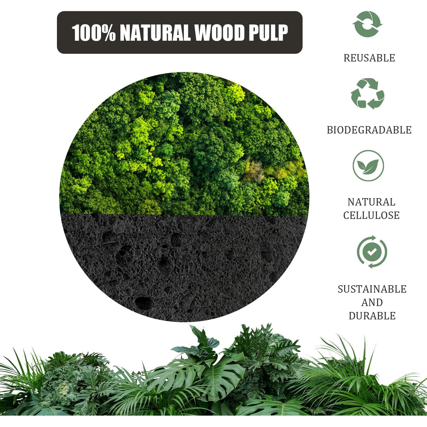 Esponjas Faciales Comprimidas 100 Unidades Celulosa Natural Negra