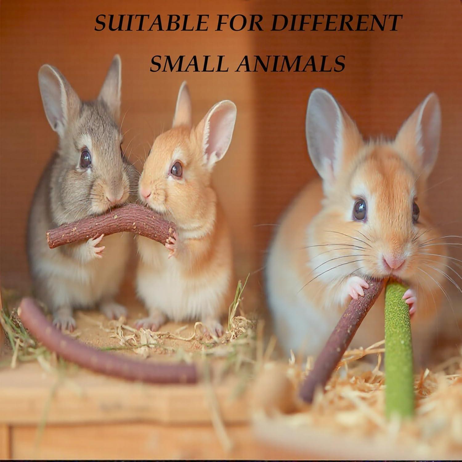 Juguetes para Masticar Conejos YTSKJ 142g - Salud Dental Natural