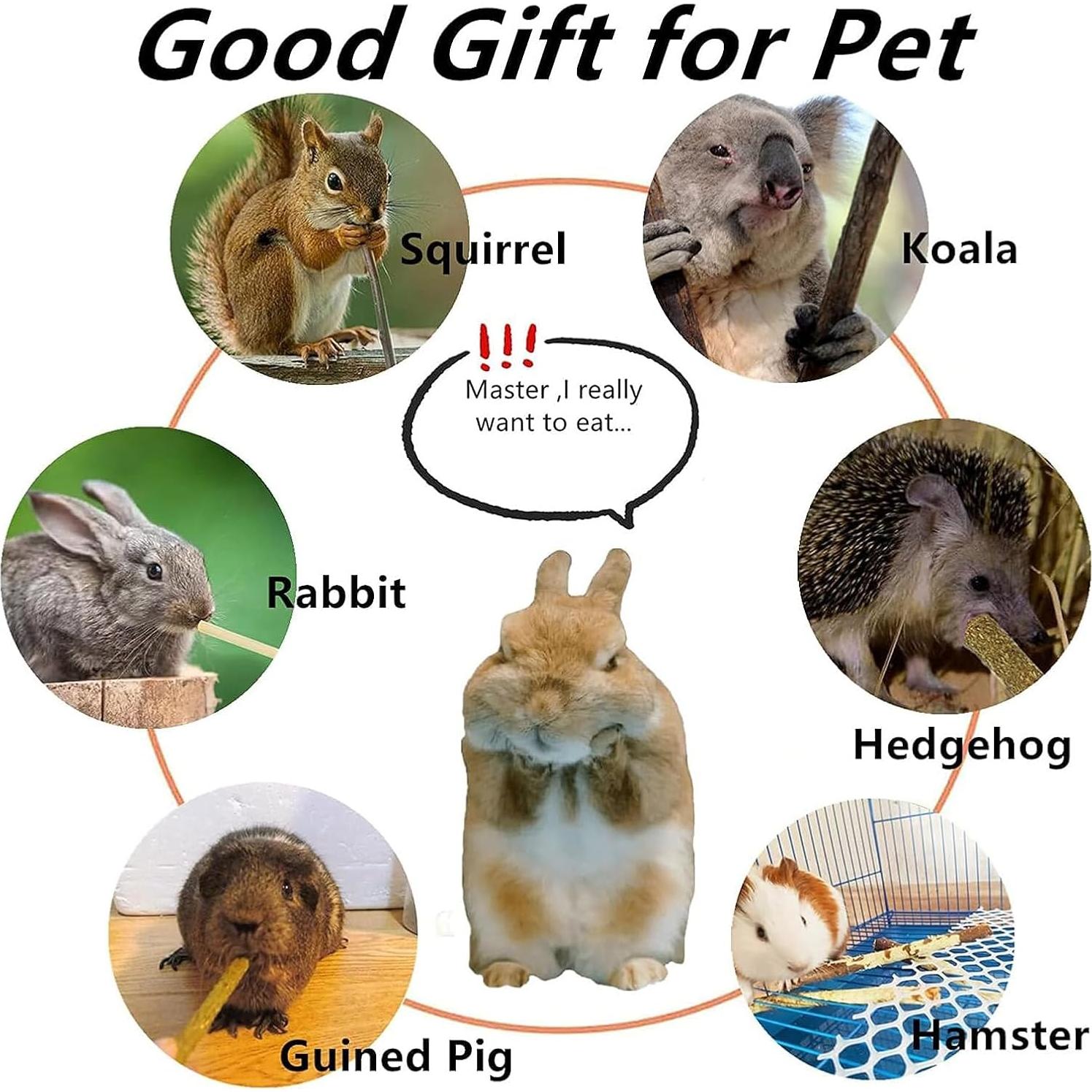 Juguetes para Masticar Conejos YTSKJ 142g - Salud Dental Natural