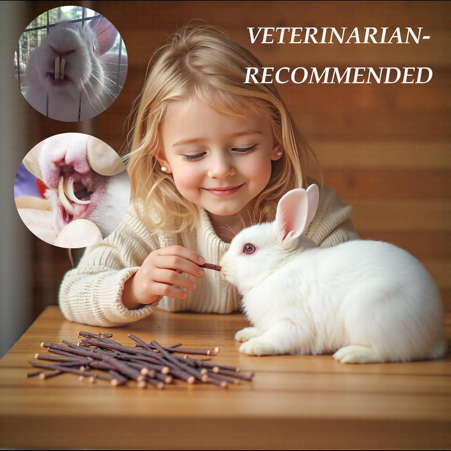 Juguetes para Masticar Conejos YTSKJ 142g - Salud Dental Natural