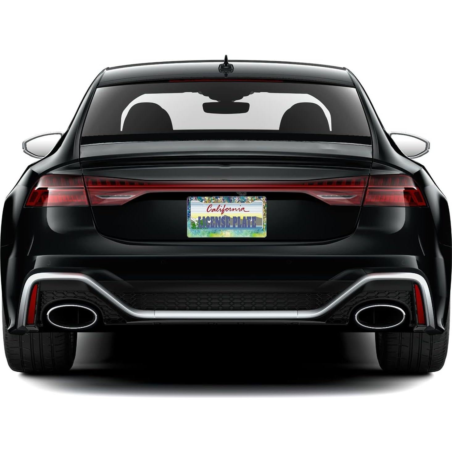 Marco de Placa de Licencia Snowmolle Acuarela Floral 30.5x15.2cm