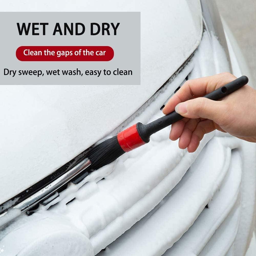 Juego de Cepillos de Detalle para Autos Dualshine 10PCS