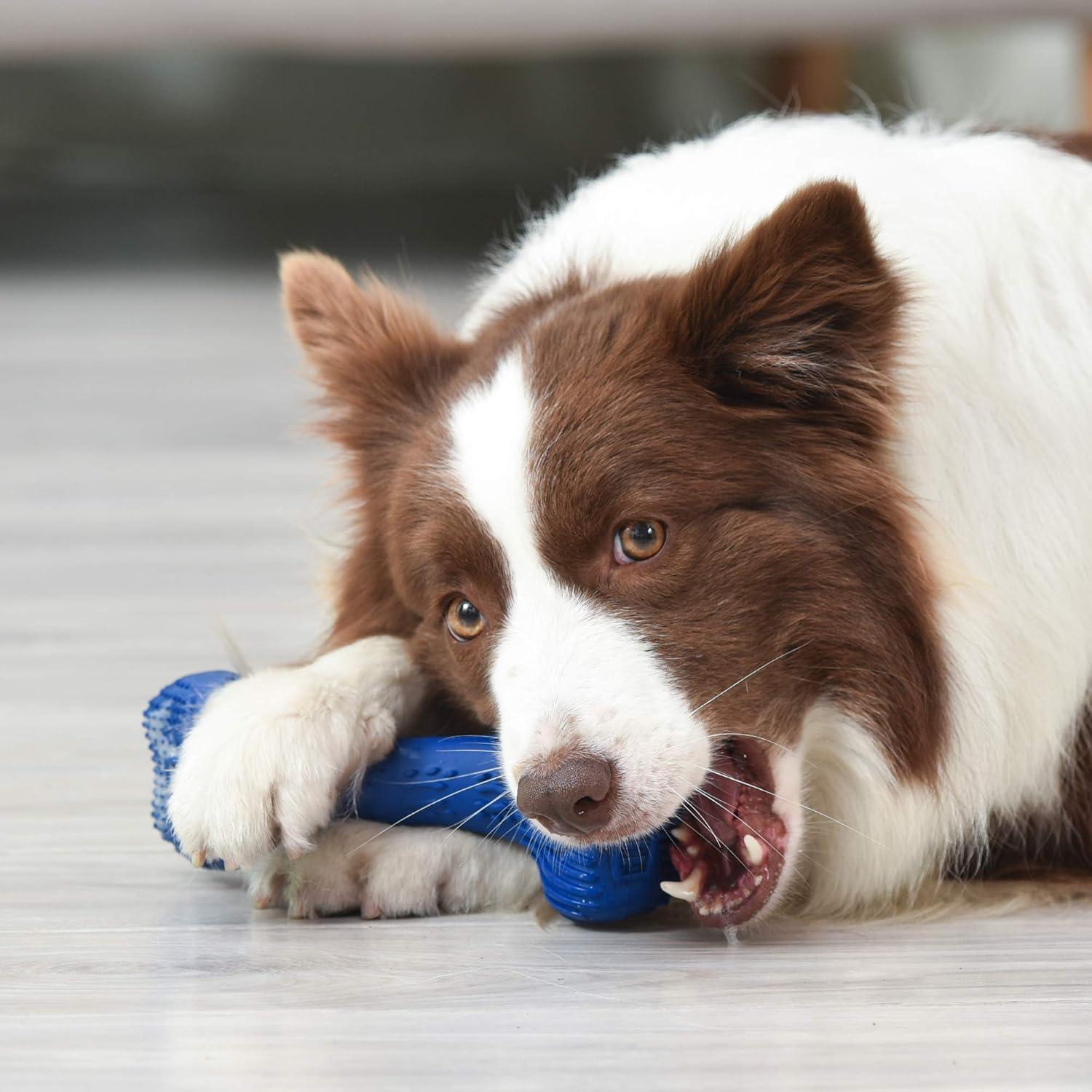 Hueso Dental EZ Limpio Arm & Hammer para Perros Pequeños 360°