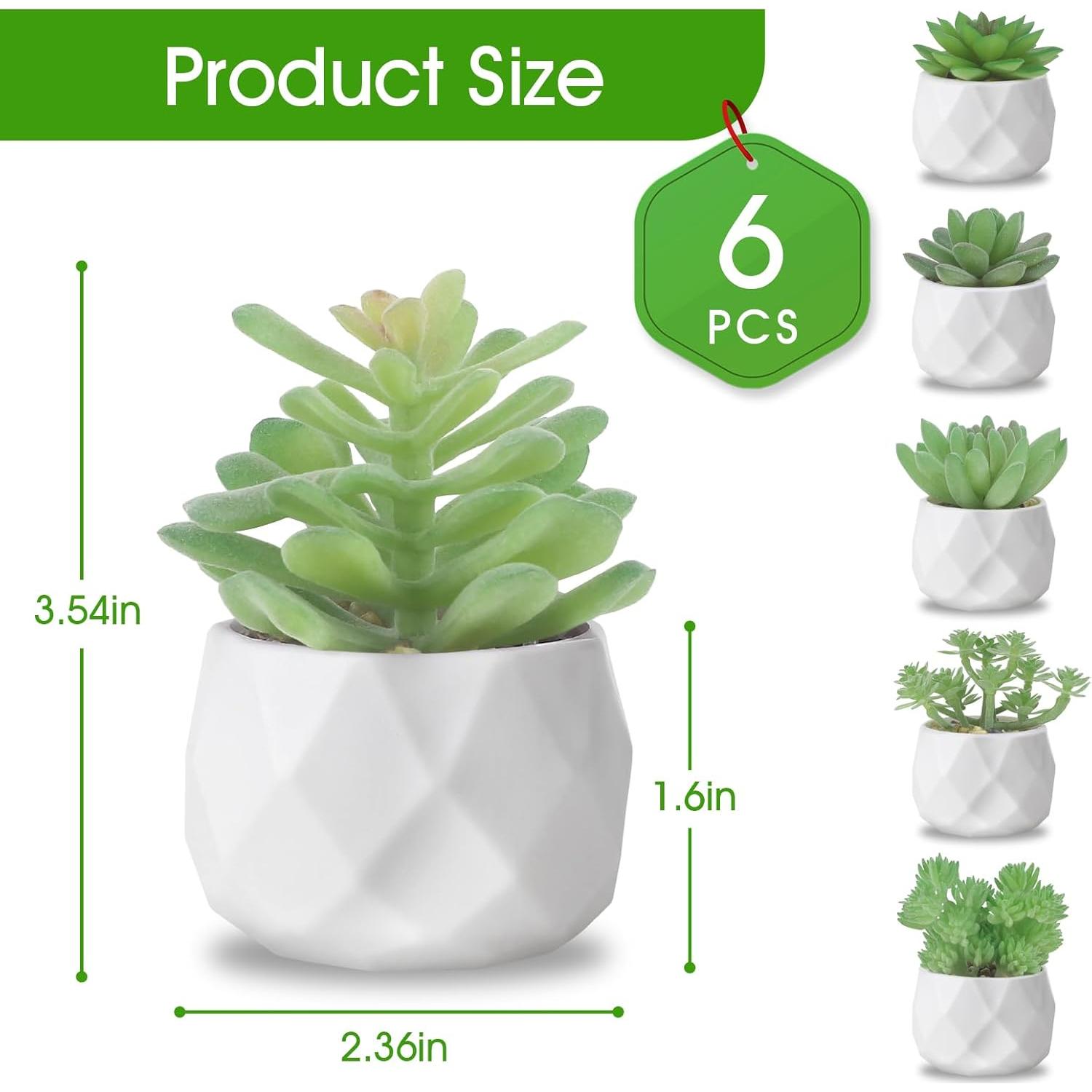 Conjunto de 6 Plantas Suculentas Artificiales ZINHO Verde