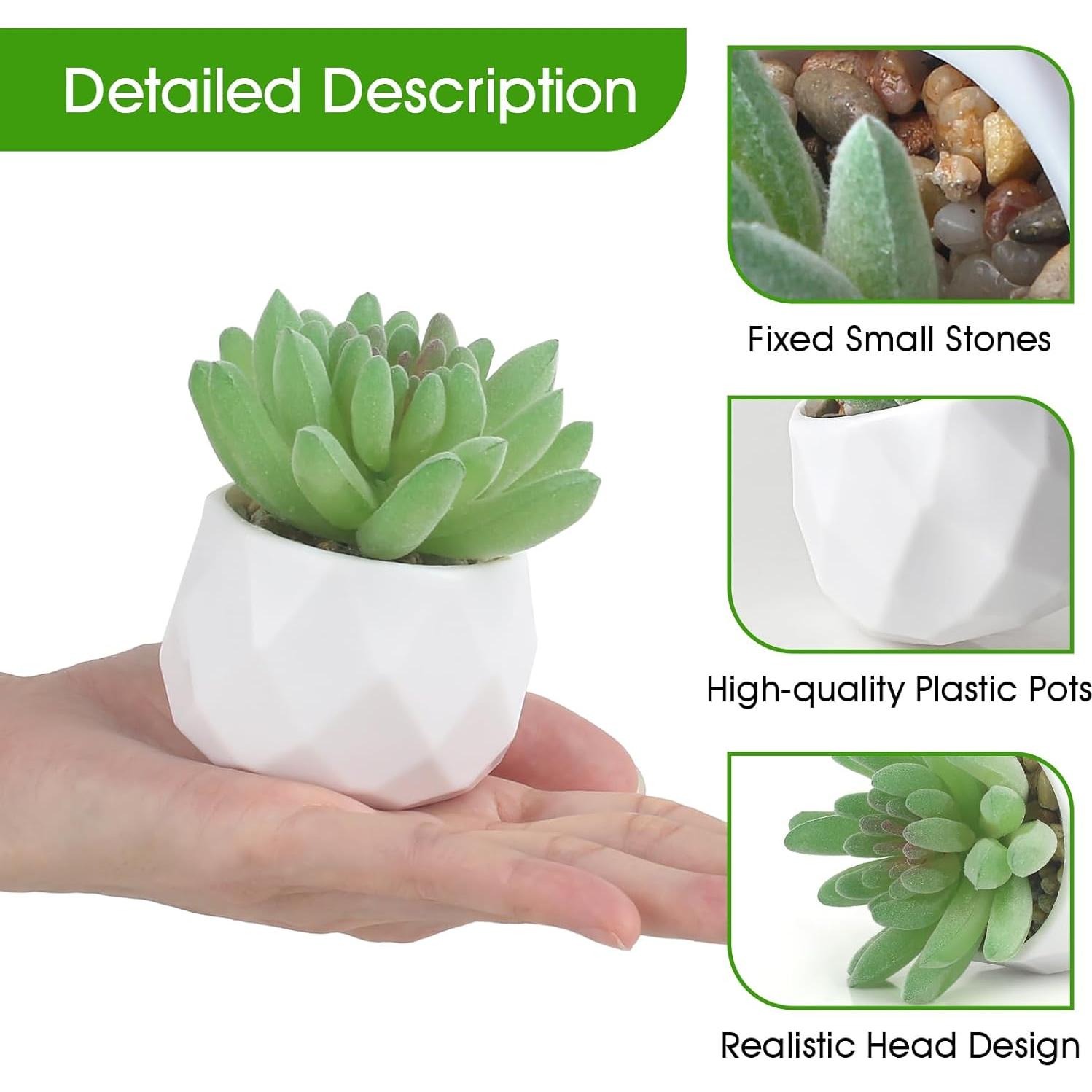 Conjunto de 6 Plantas Suculentas Artificiales ZINHO Verde