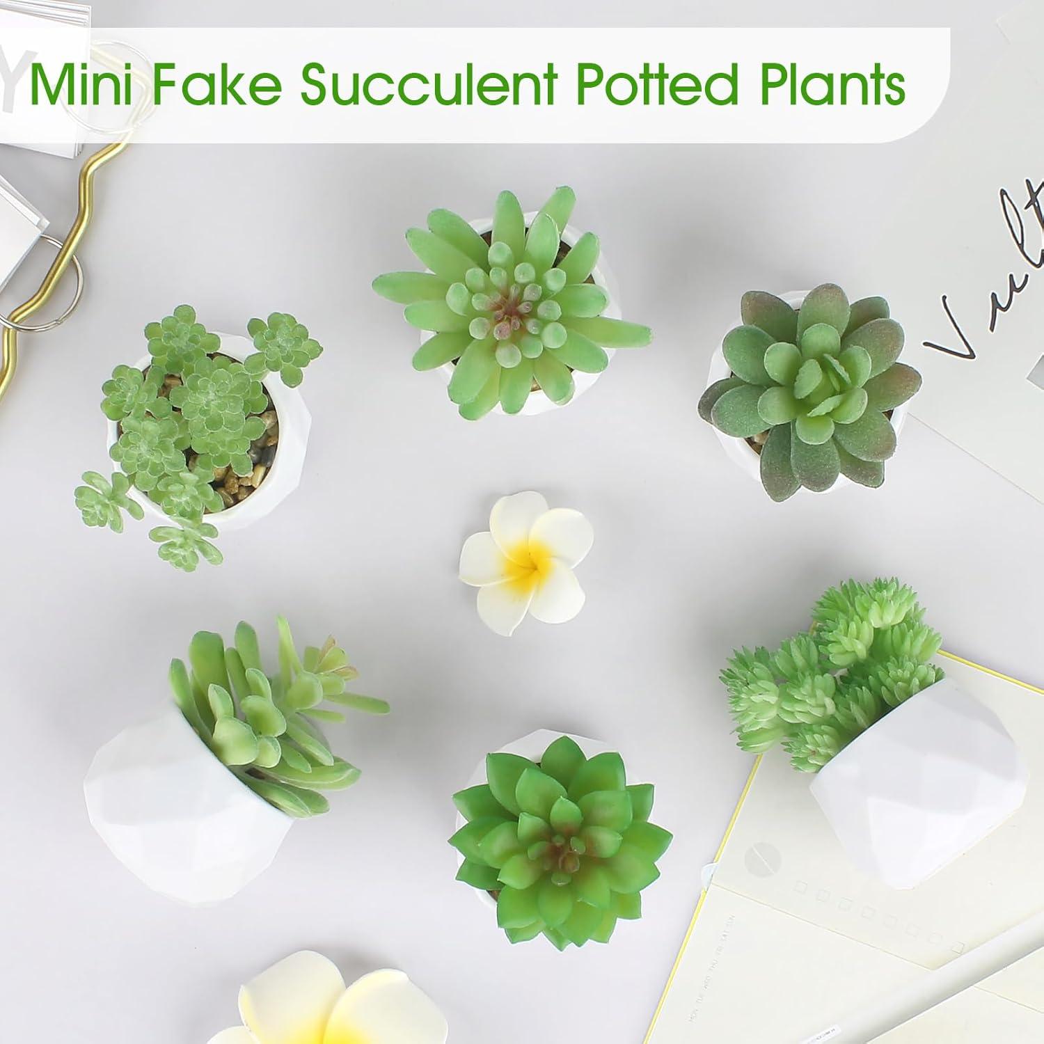 Conjunto de 6 Plantas Suculentas Artificiales ZINHO Verde