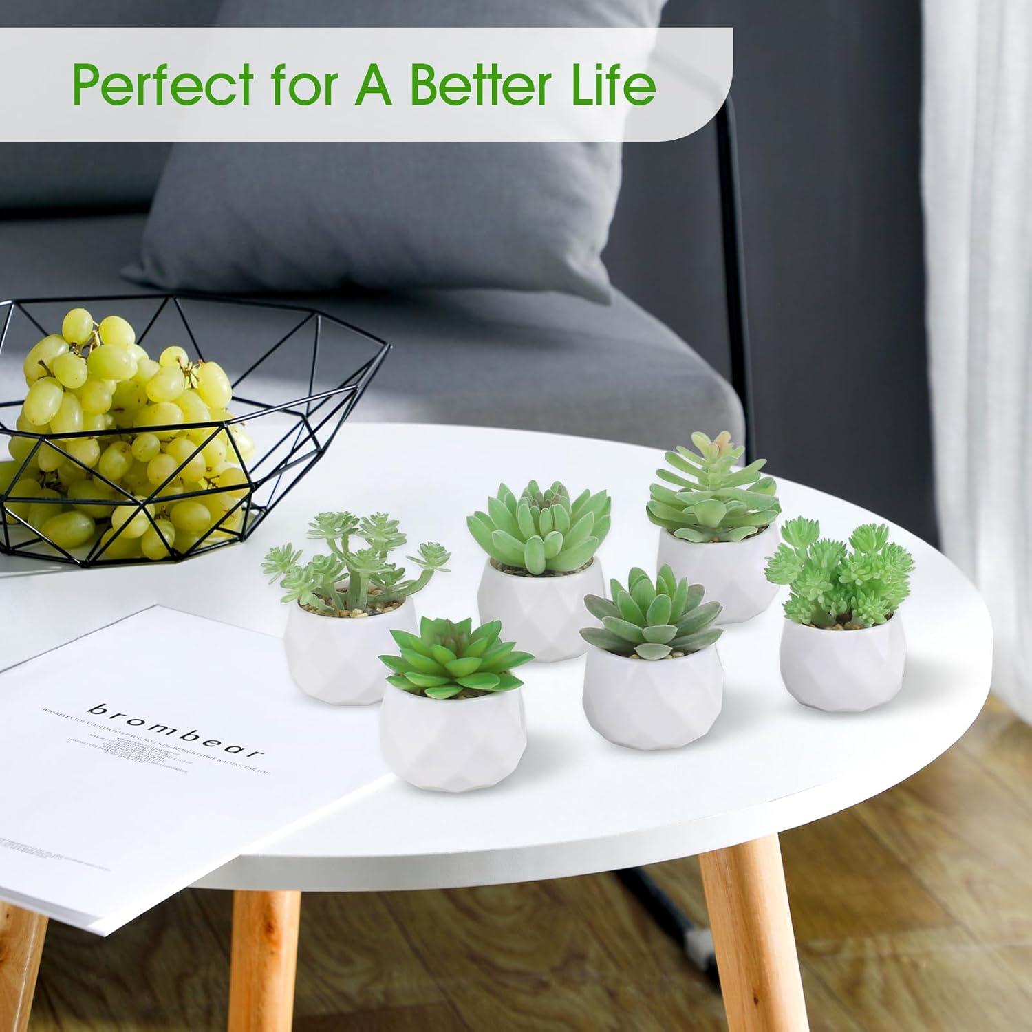 Conjunto de 6 Plantas Suculentas Artificiales ZINHO Verde