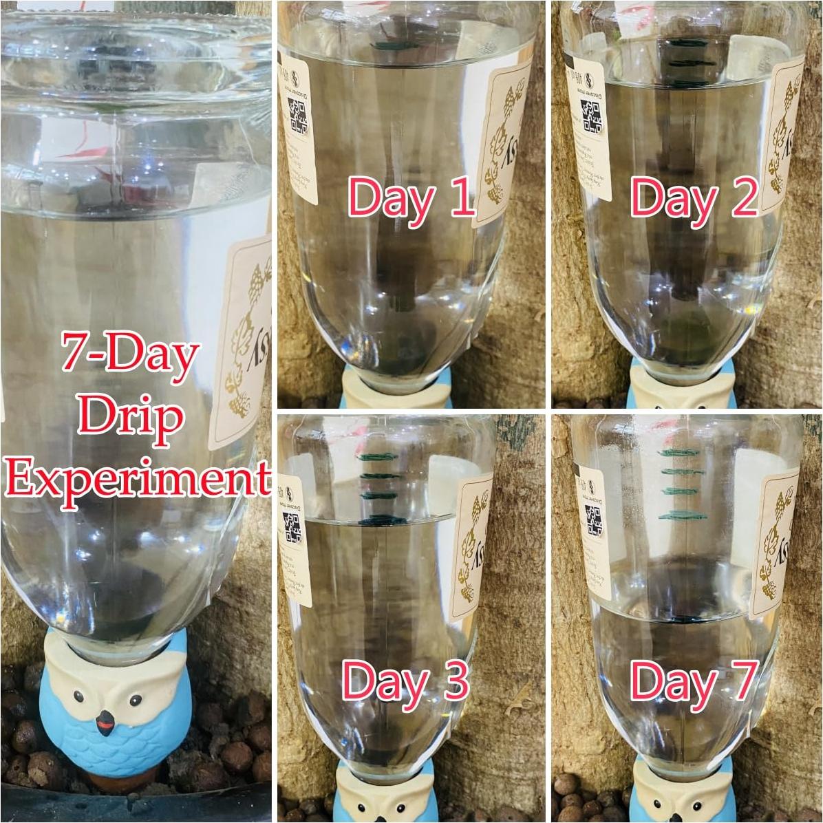 Paquete de 4 Picos de Riego Automático Terracota Búho 16 cm