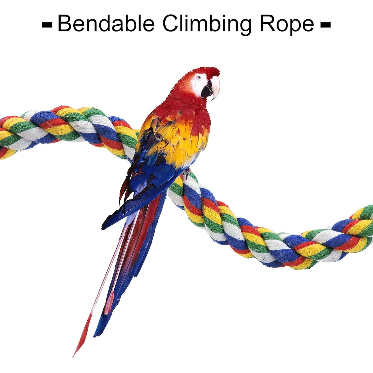 Percha para Loros WishLotus 50cm Cuerda Colorida con Campana