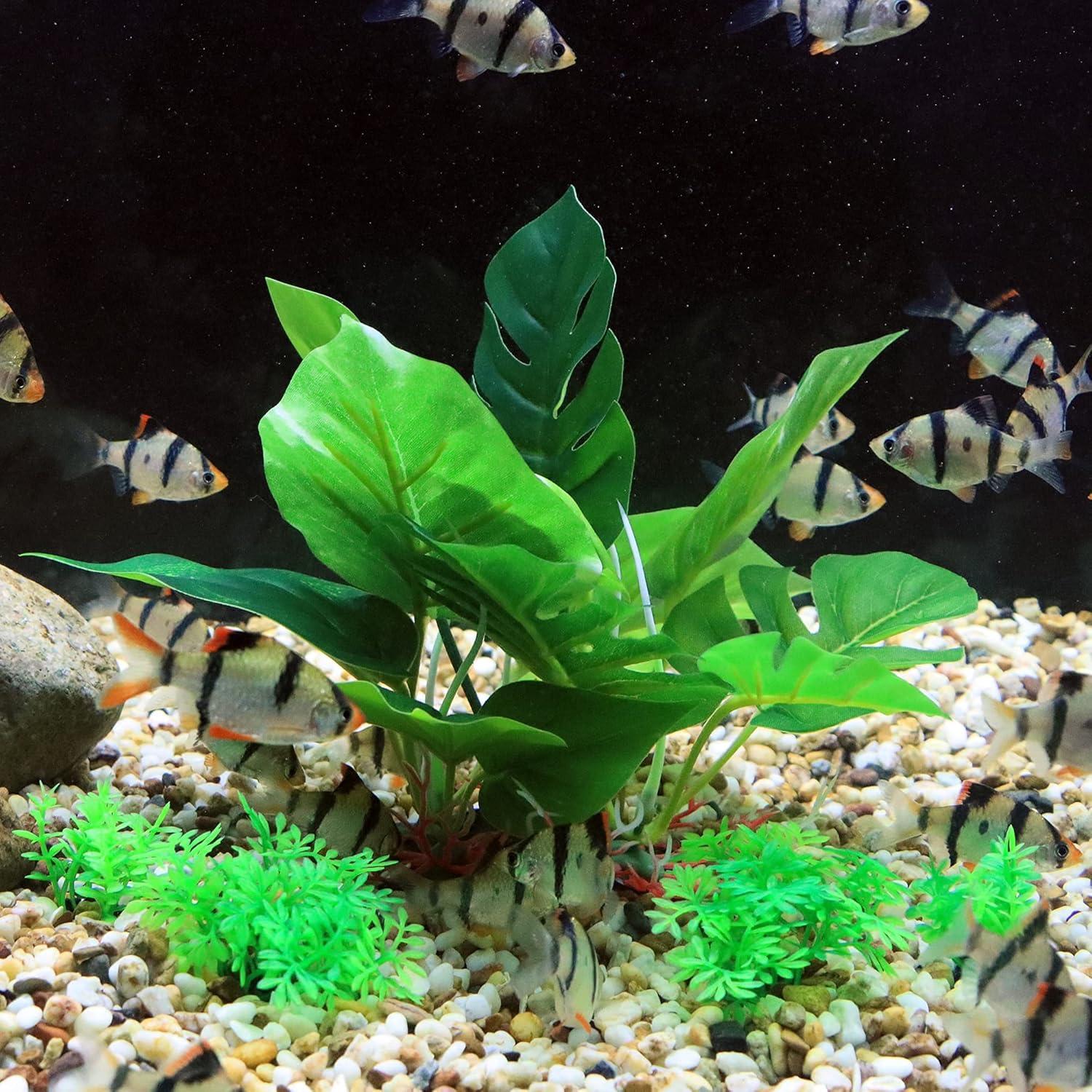 Plantas de Seda para Acuario ALEGI - 5 Unidades 15 cm