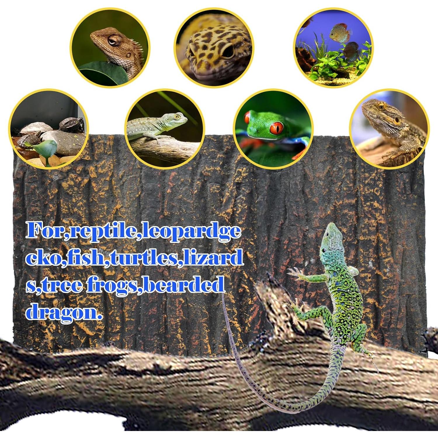 Fondo 3D para Terrario MUYG 45x28 cm Roca Natural Reptiles