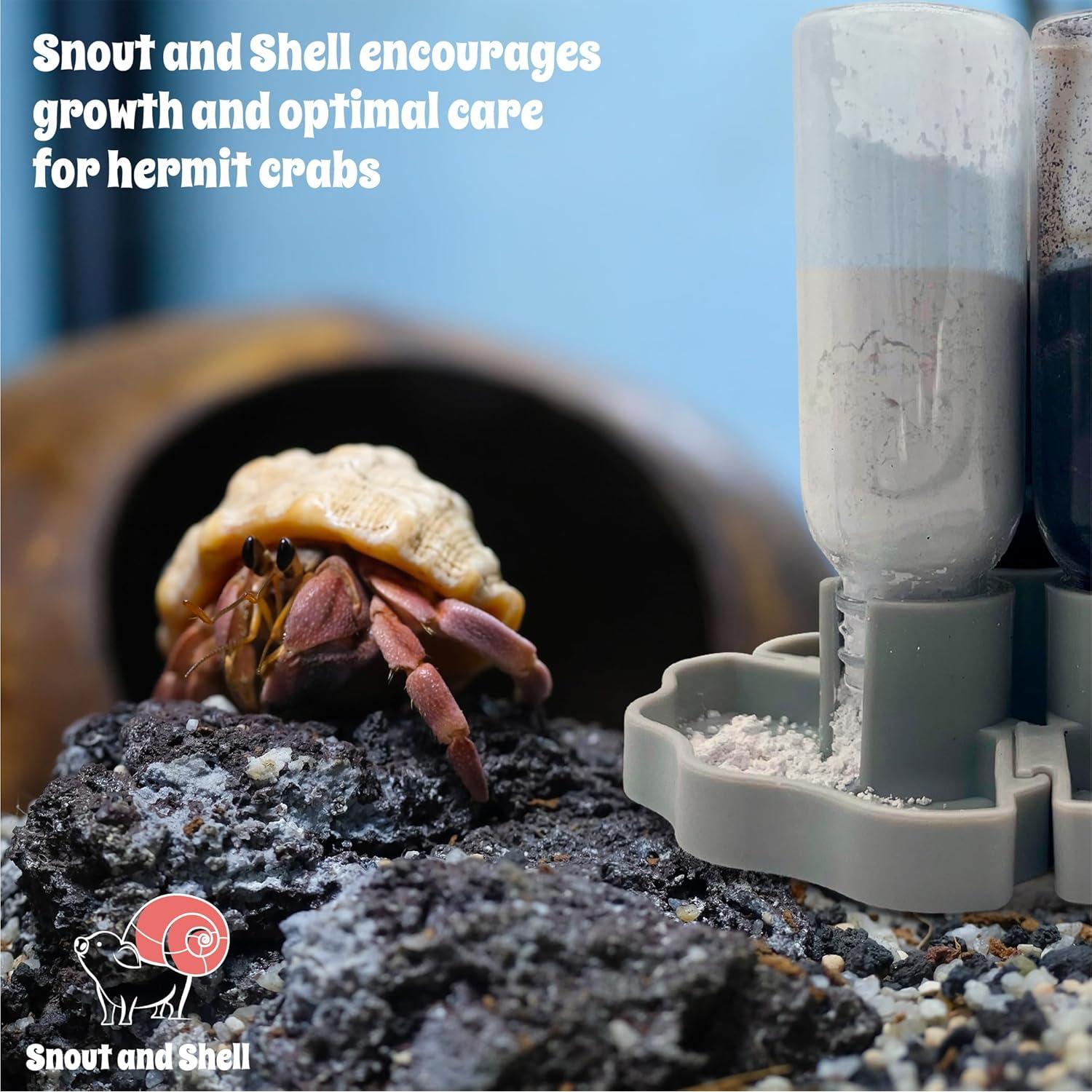 Comedero de Gravedad para Cangrejos Ermitaños Snout and Shell - Gris - 3 Pozos