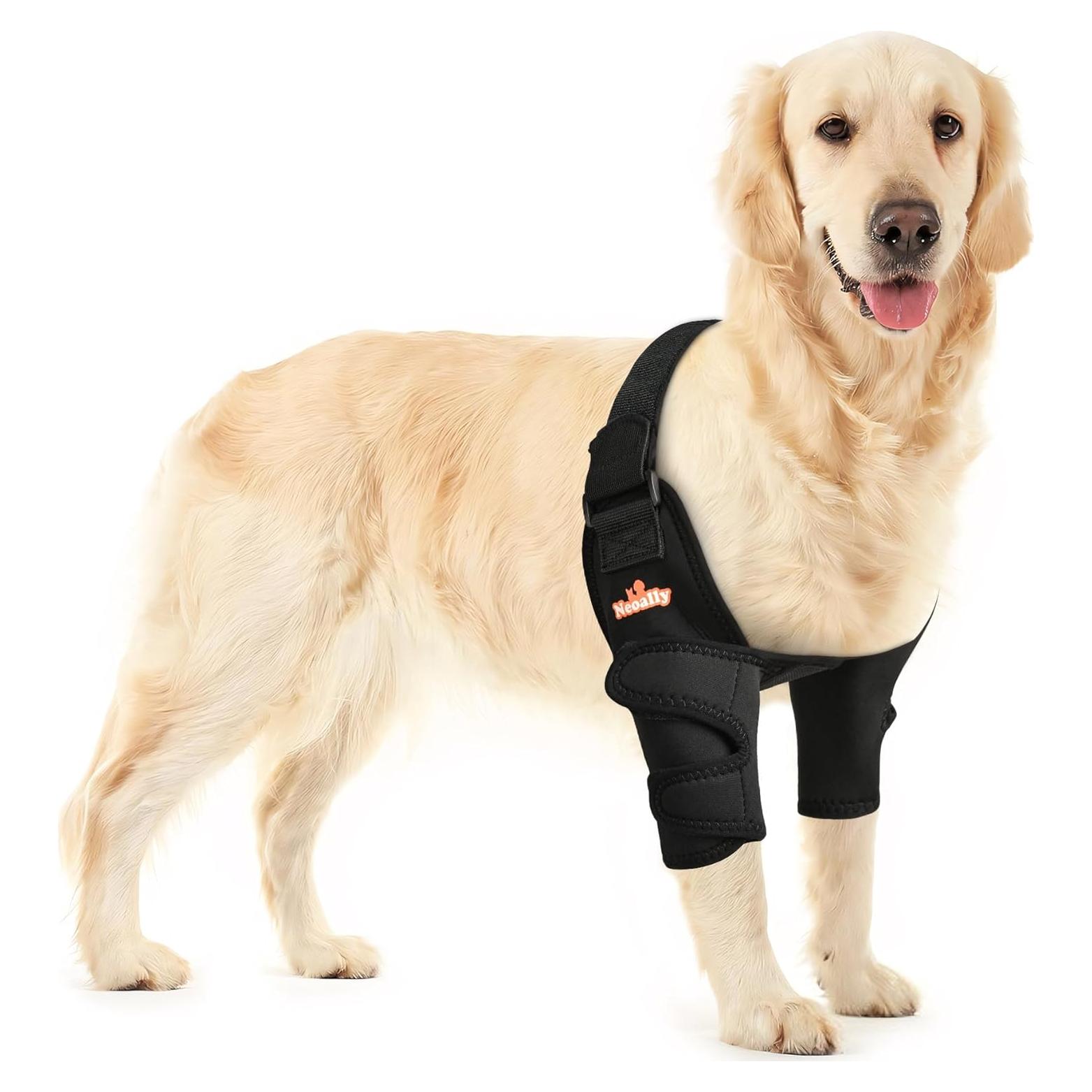 Protector de Codo NeoAlly para Perros XS - Soporte y Comodidad