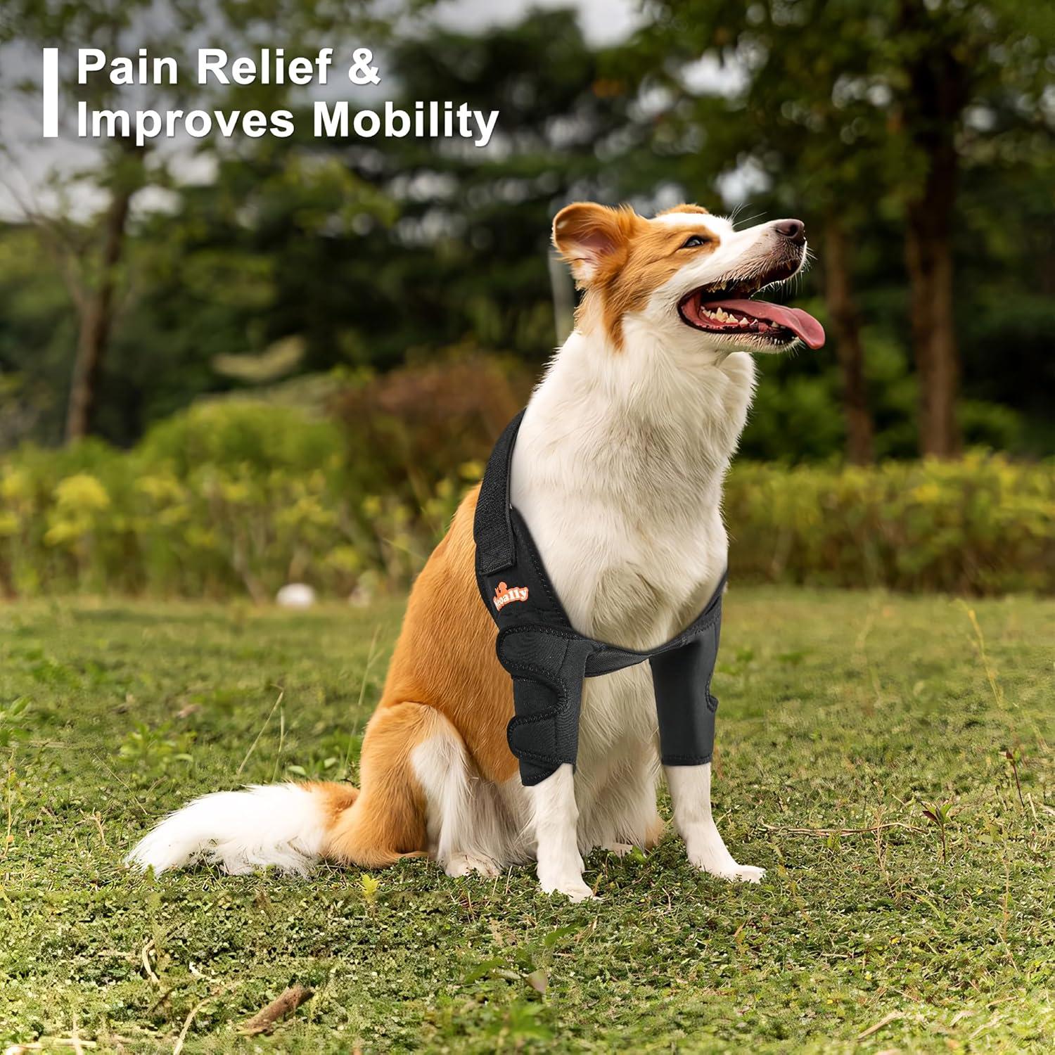 Protector de Codo NeoAlly para Perros XS - Soporte y Comodidad