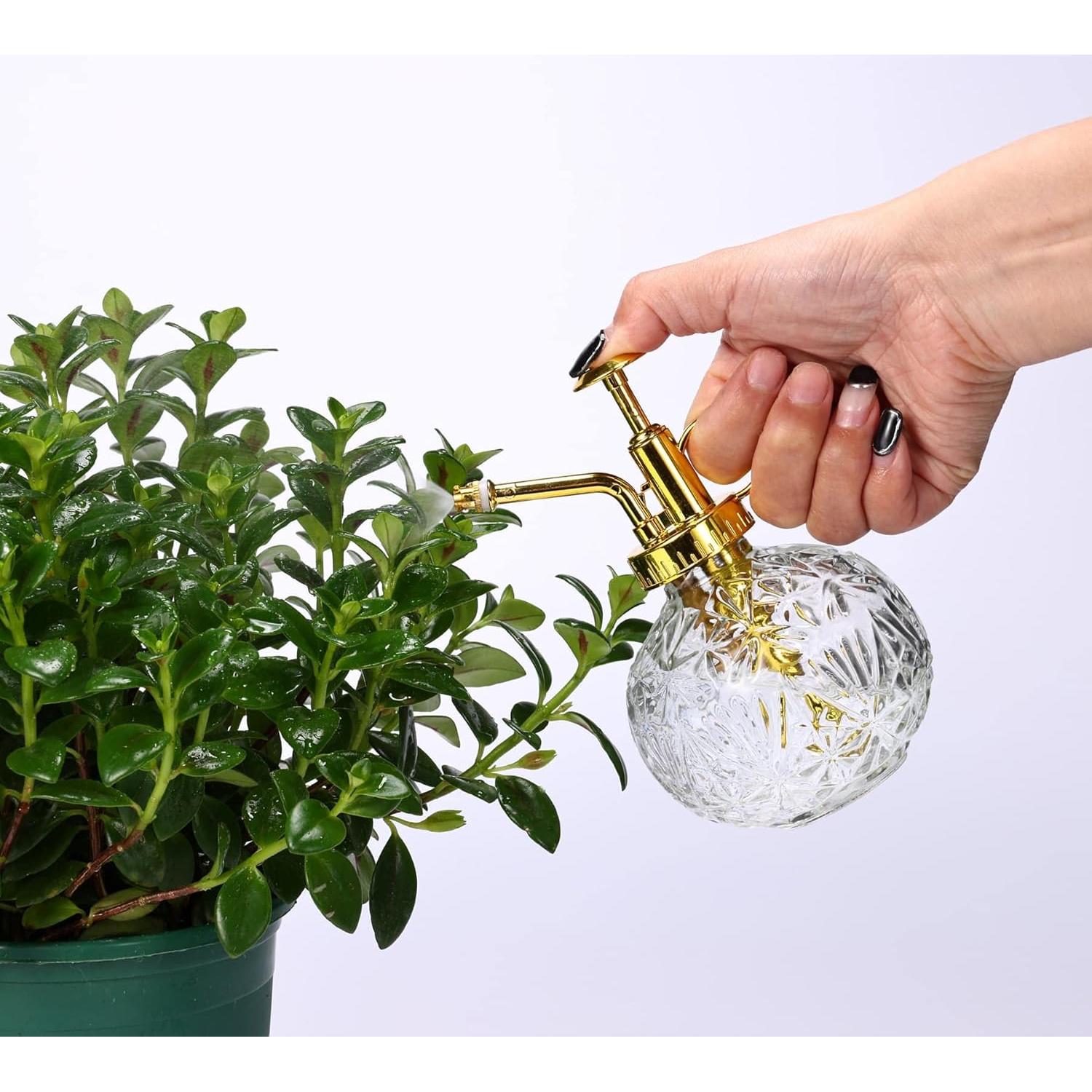 Botella de Spray para Plantas Aebor de Vidrio 207 ml Dorada