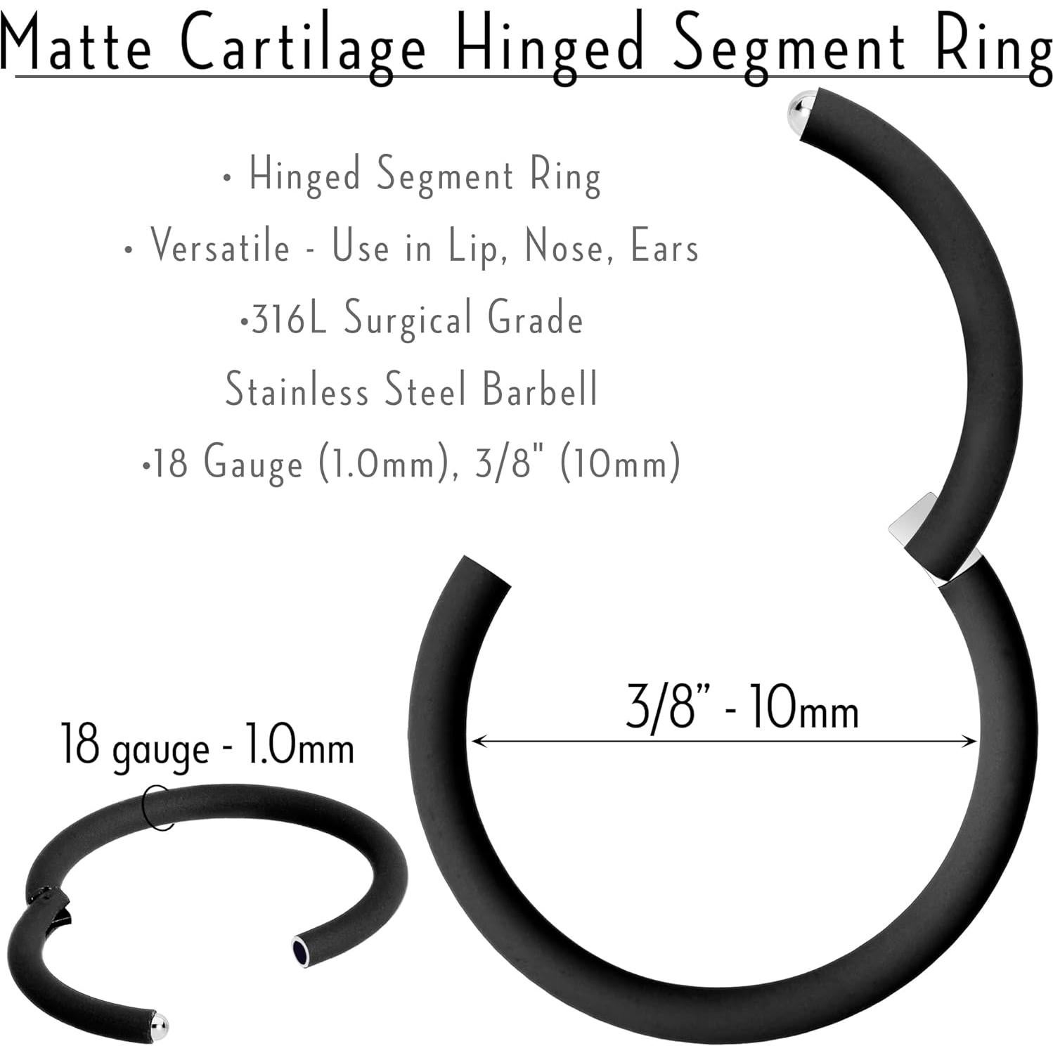 Anillo Segmentado Body Candy 18g Acero Quirúrgico 10mm