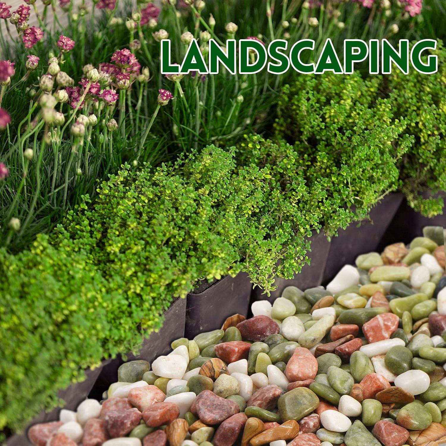 Piedras Decorativas Naturales RUOJAS 1.1 kg 1.27 cm para Plantas