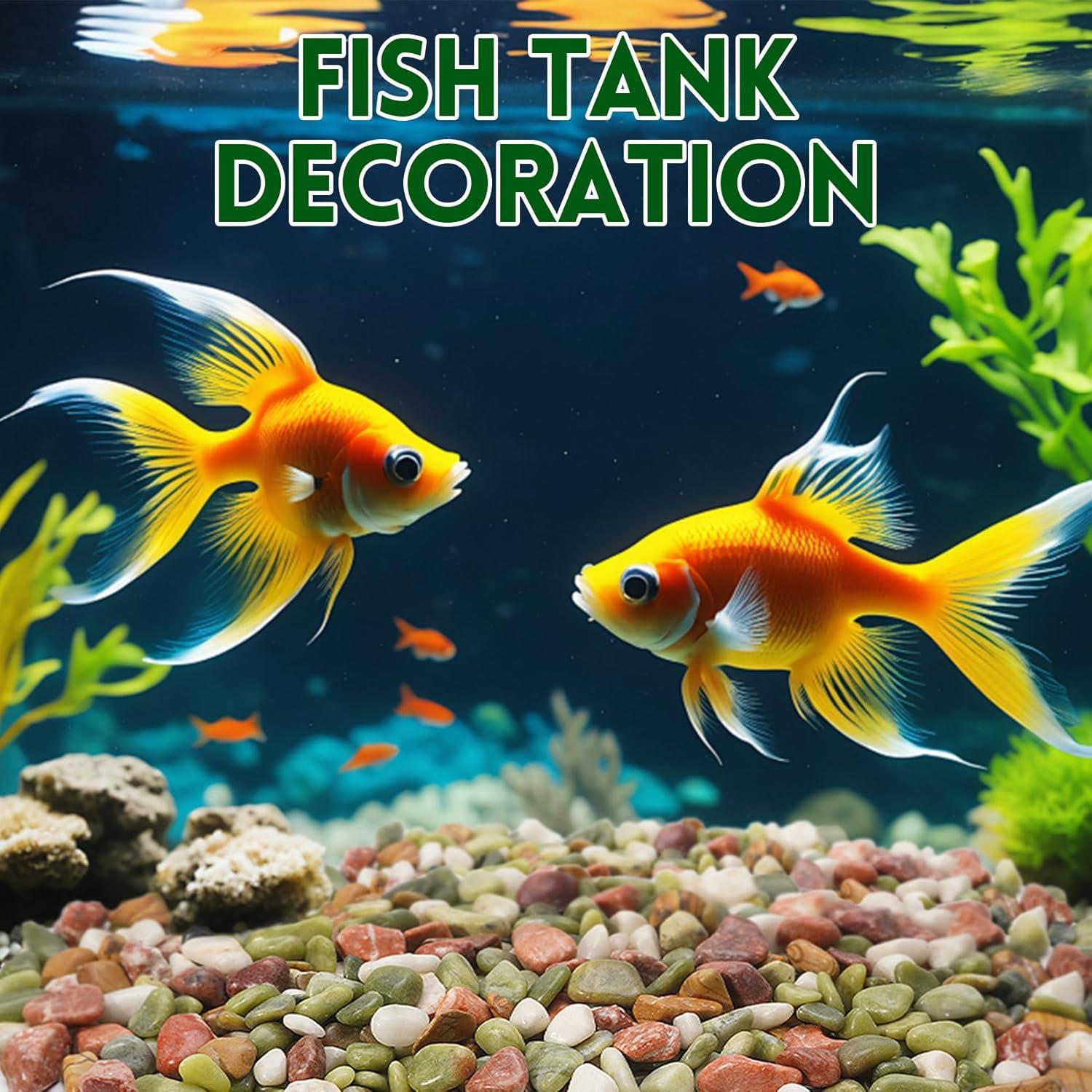 Piedras Decorativas Naturales RUOJAS 1.1 kg 1.27 cm para Plantas