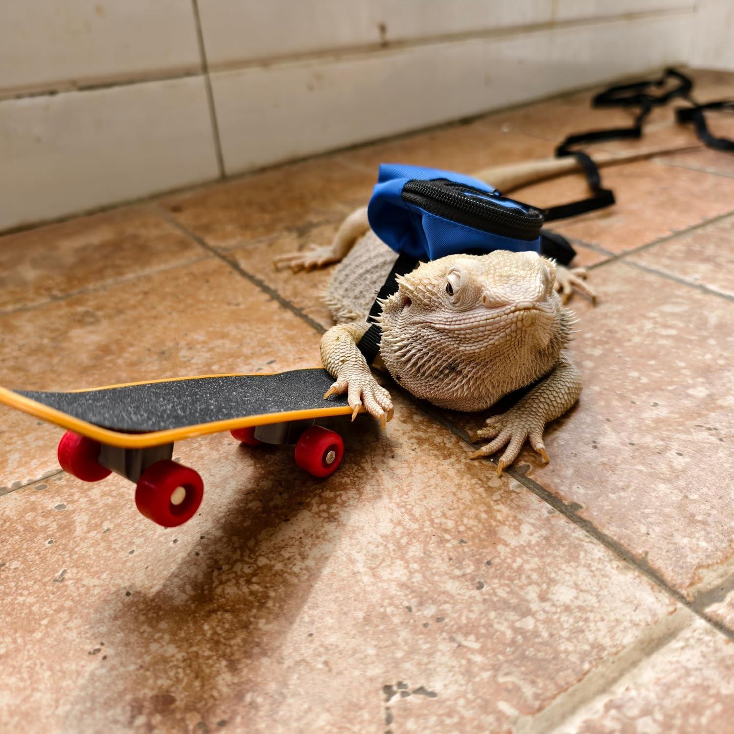 Accesorios para Reptiles TTMIMIK - Mochila y Correa Azul