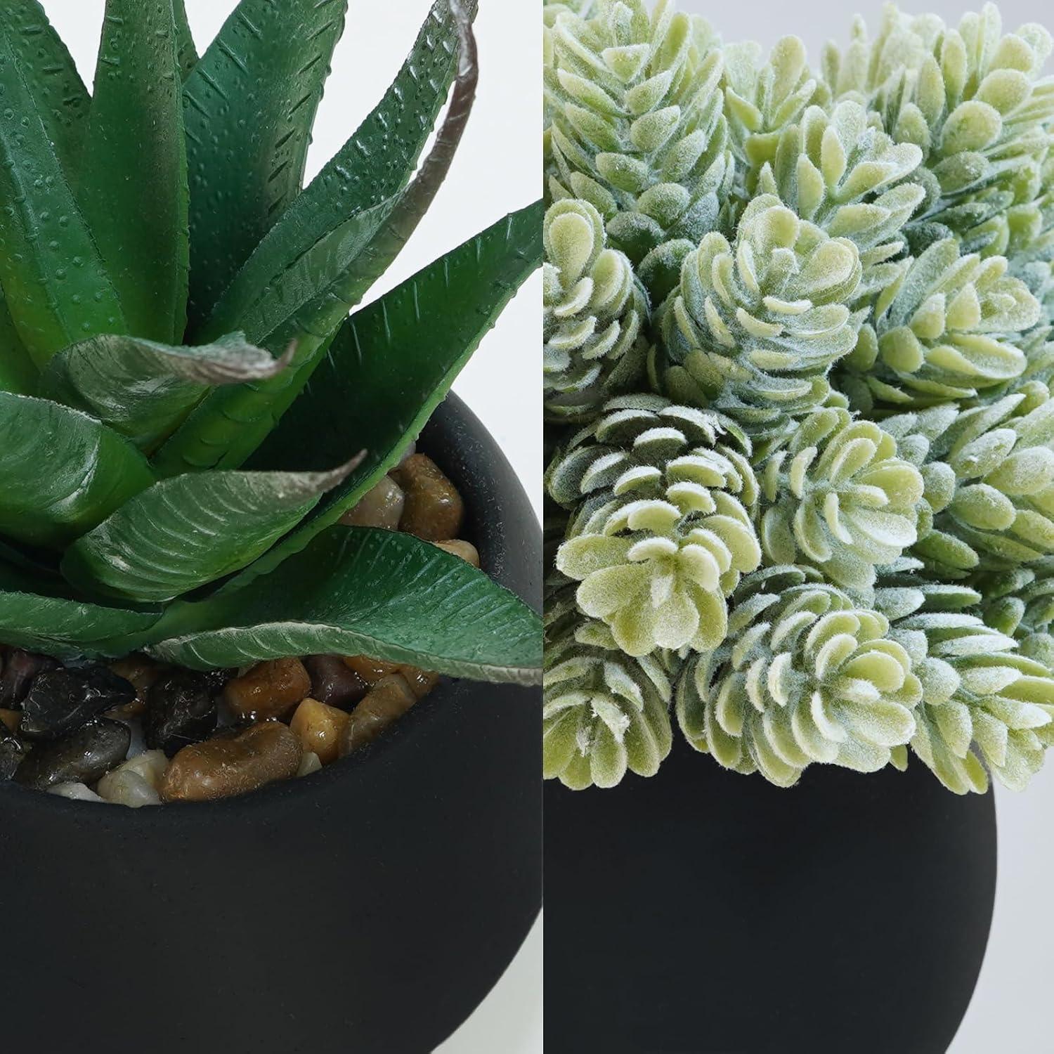 Winlyn Juego de 3 Plantas Suculentas Artificiales en Macetas Negras