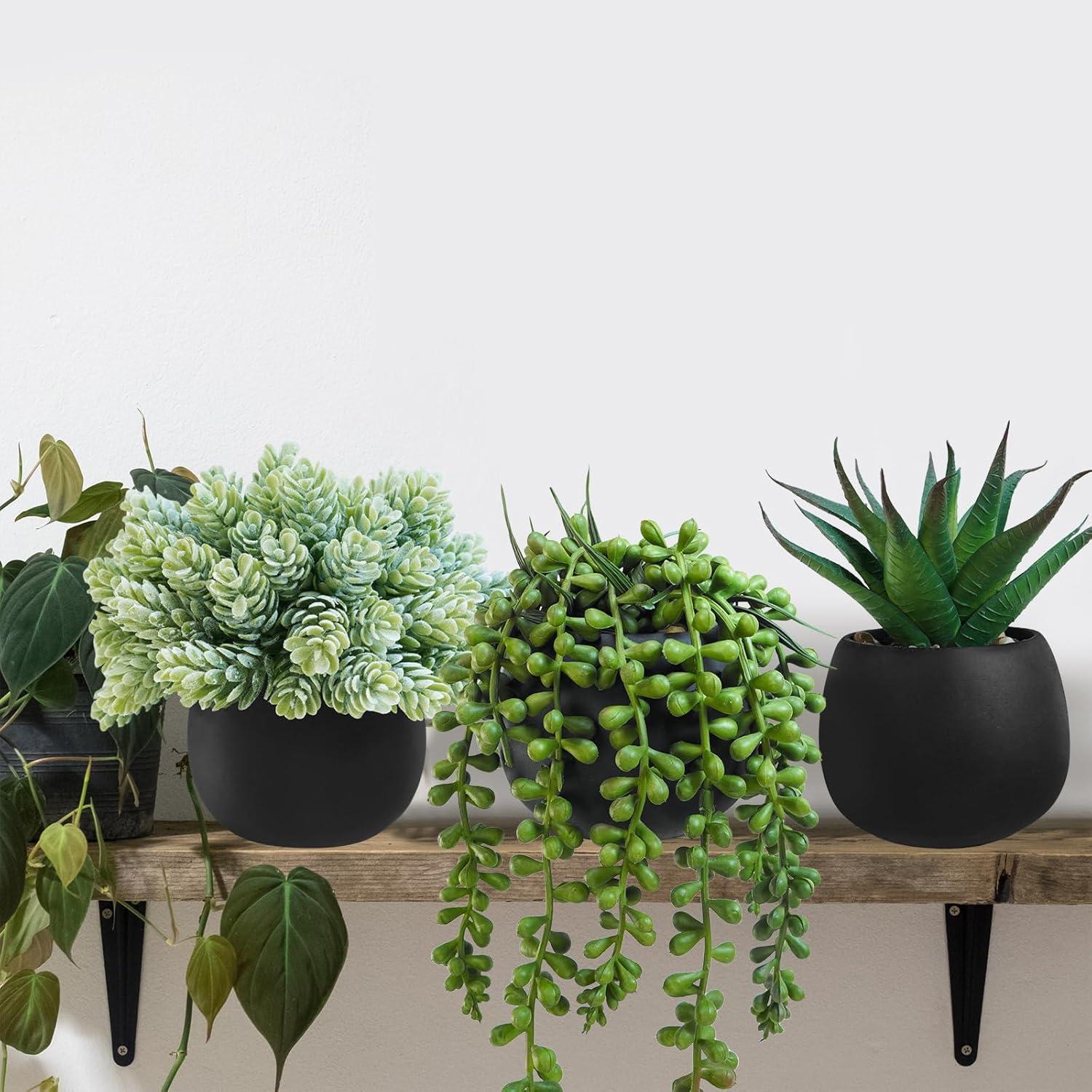 Winlyn Juego de 3 Plantas Suculentas Artificiales en Macetas Negras