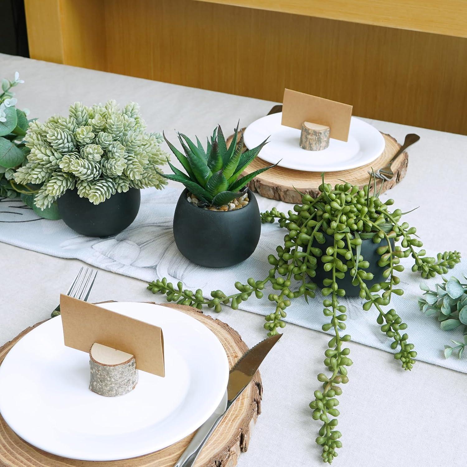 Winlyn Juego de 3 Plantas Suculentas Artificiales en Macetas Negras