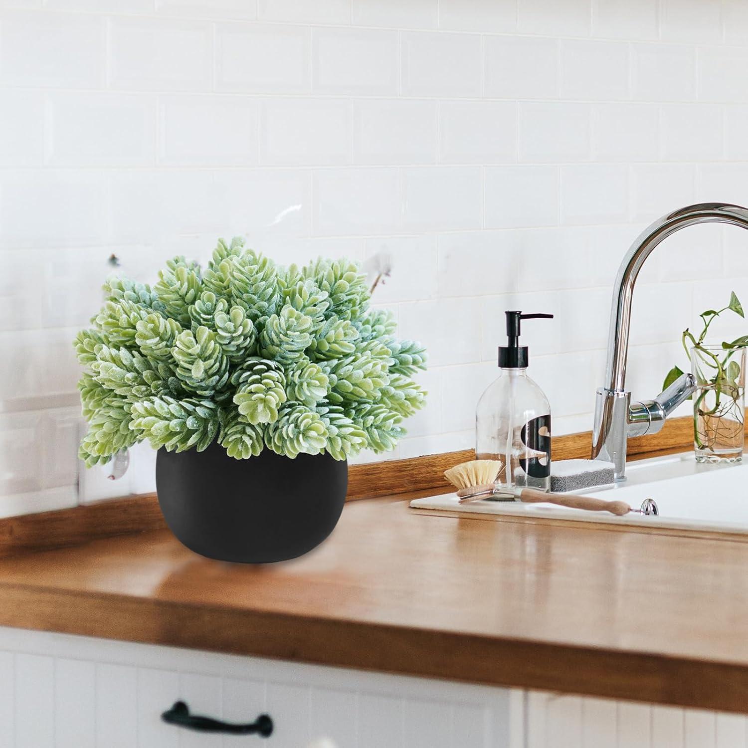 Winlyn Juego de 3 Plantas Suculentas Artificiales en Macetas Negras