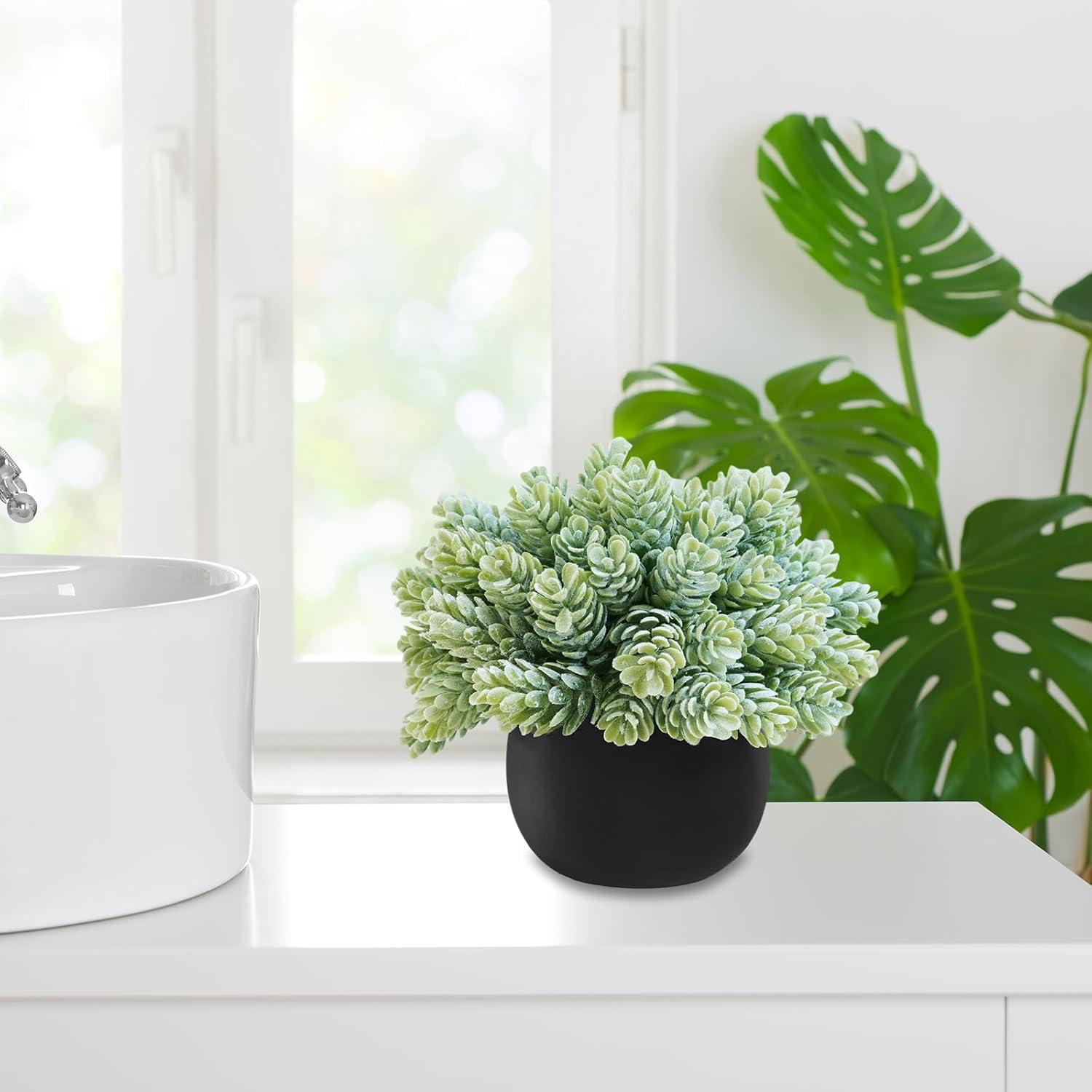 Winlyn Juego de 3 Plantas Suculentas Artificiales en Macetas Negras