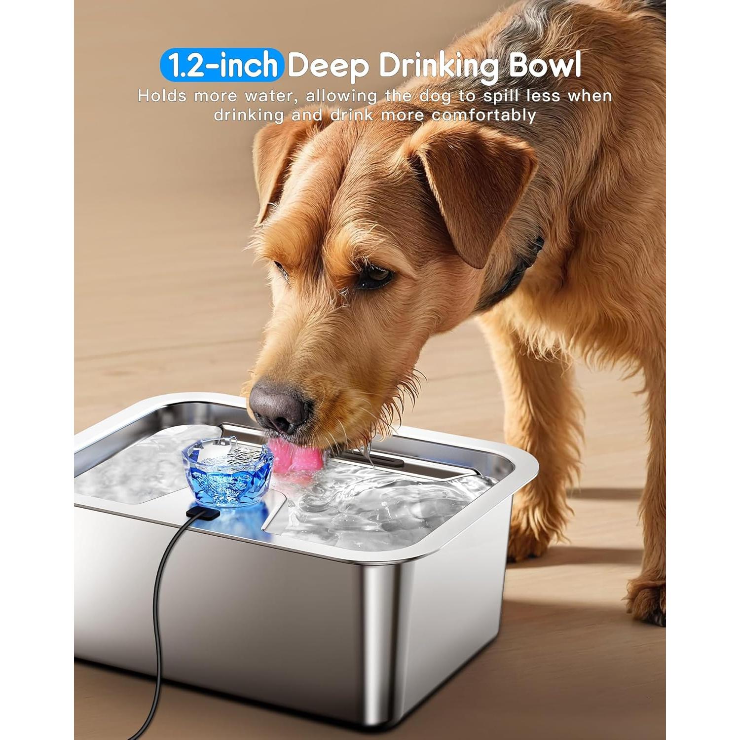 Fuente de Agua para Perros Grandes 11L Acero Inoxidable lesotc