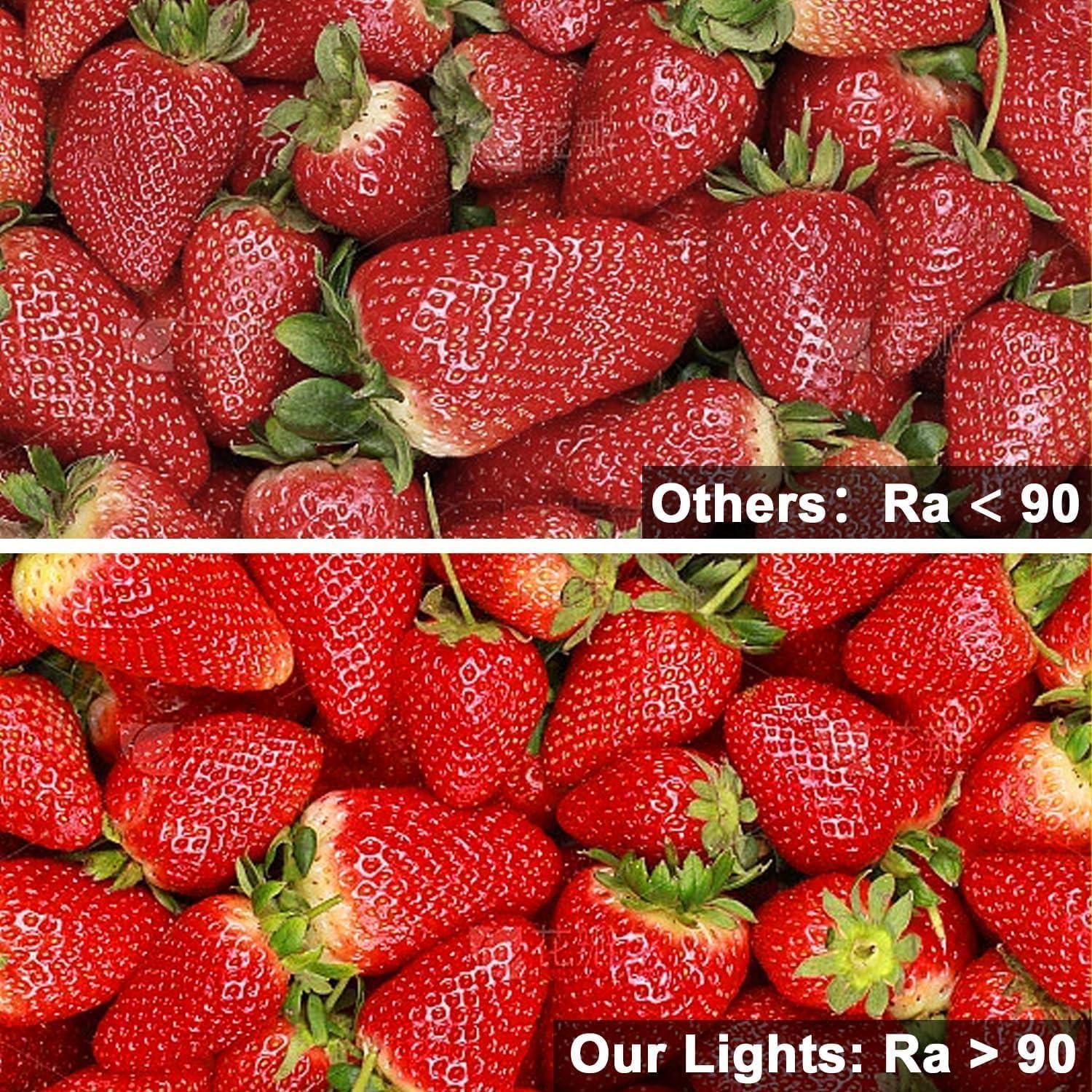 Tira LED COB VST 12V 5m 2700K Regulable IP30 2400 LEDs