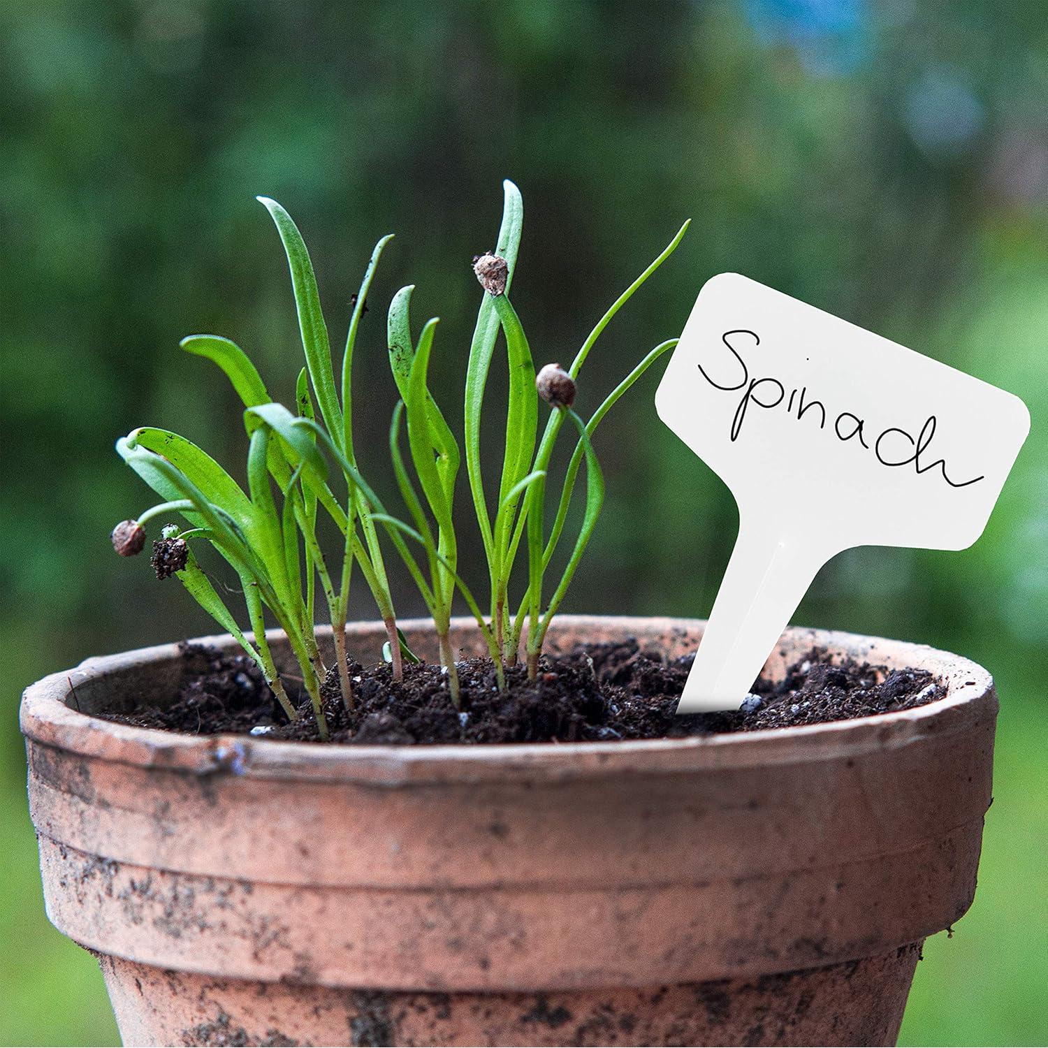 120 Etiquetas de Jardinería OwnGrown + Bolígrafo Resistente