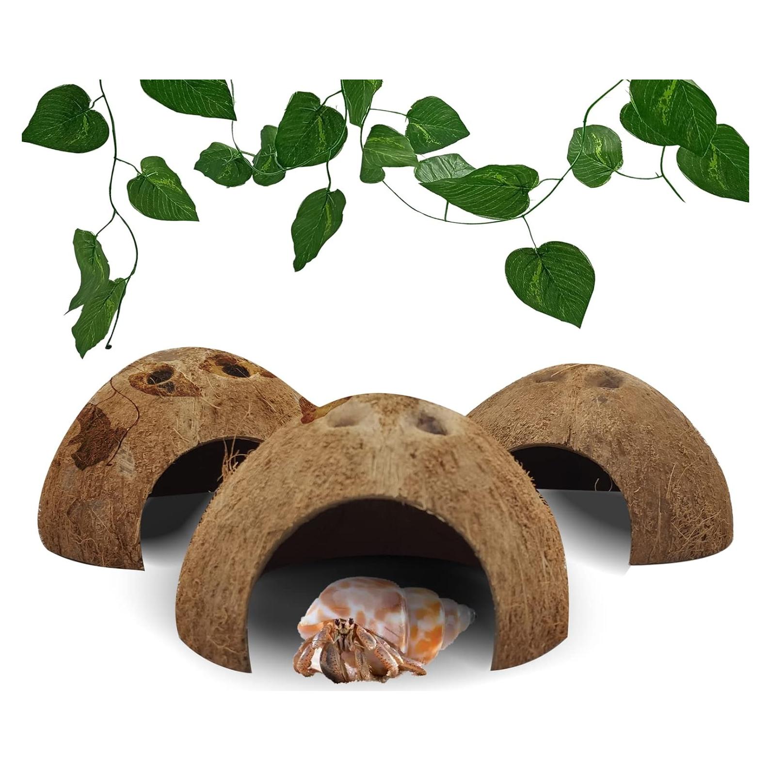 Refugios Naturales de Coco Hamiledyi para Reptiles - 4 Pcs