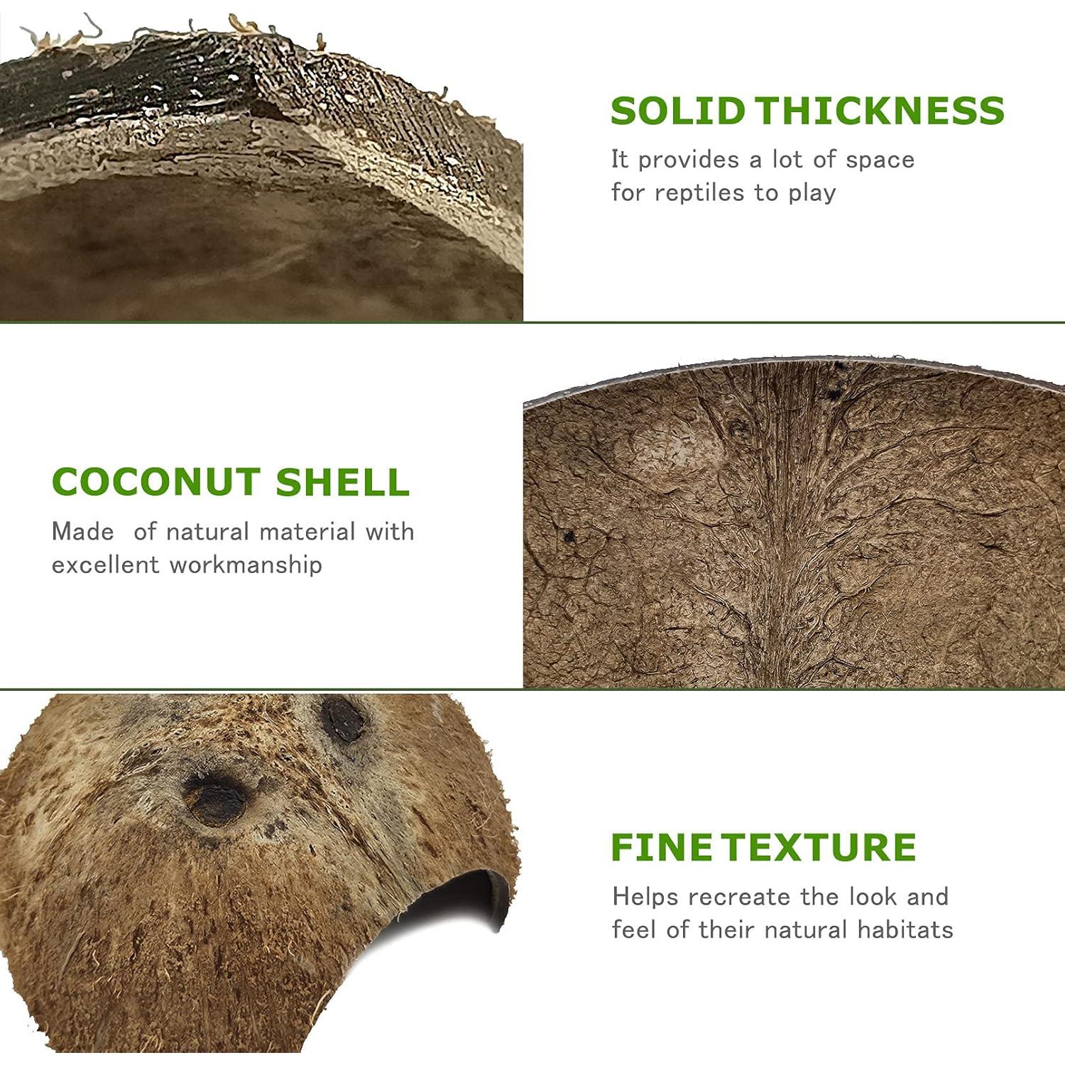 Refugios Naturales de Coco Hamiledyi para Reptiles - 4 Pcs