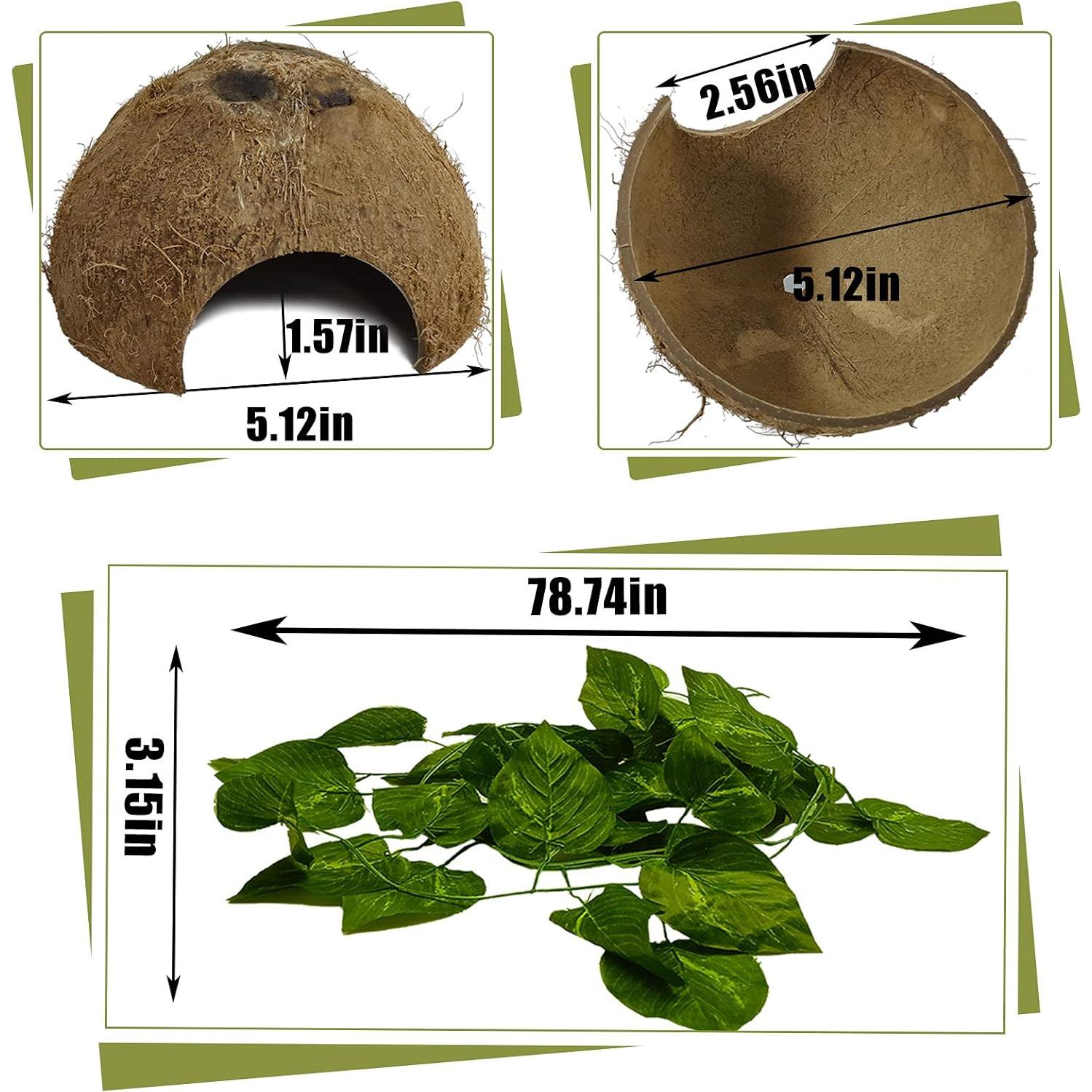 Refugios Naturales de Coco Hamiledyi para Reptiles - 4 Pcs