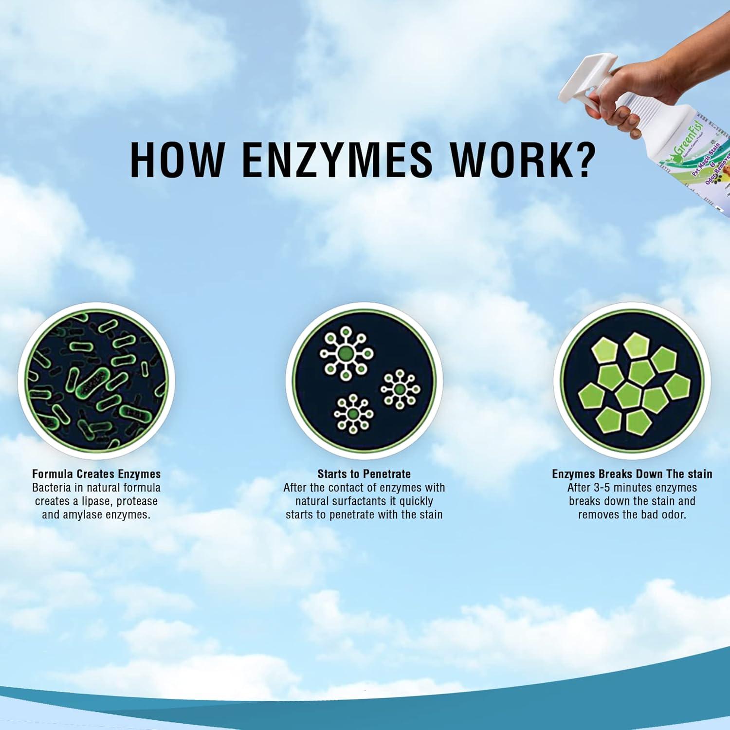 Removedor de Manchas y Olores GreenFist 32 oz para Mascotas