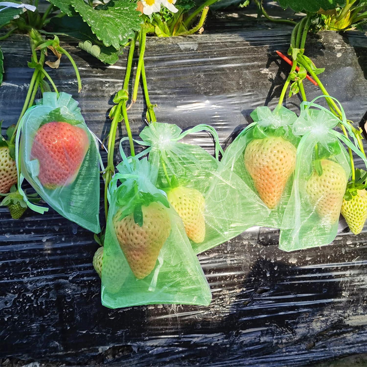 Bolsas de Protección para Frutas Verdes moonoom 15x20 cm - 100 Piezas