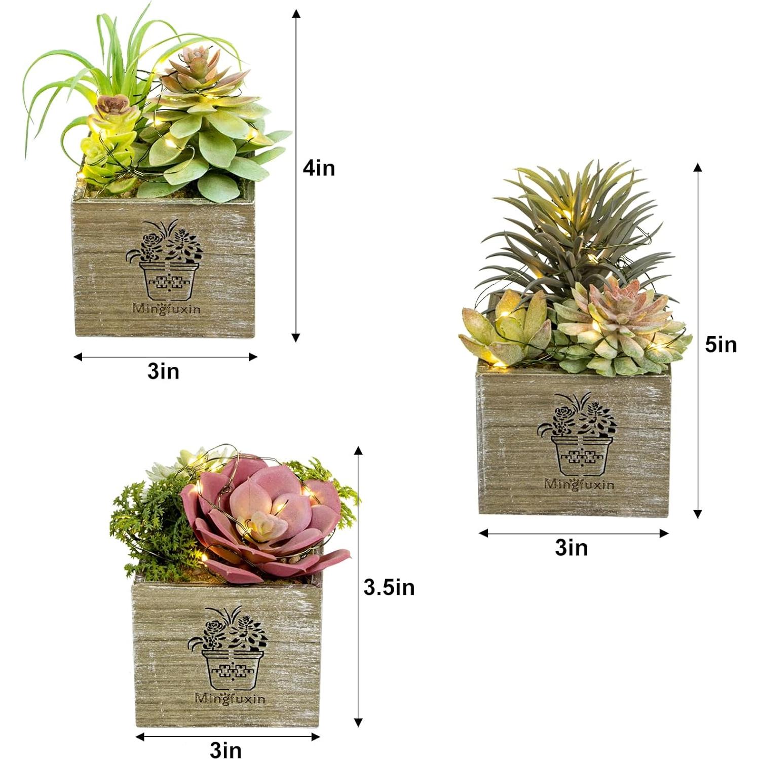 Plantas Suculentas Artificiales con Luces LED Mingfuxin - 3 Unidades