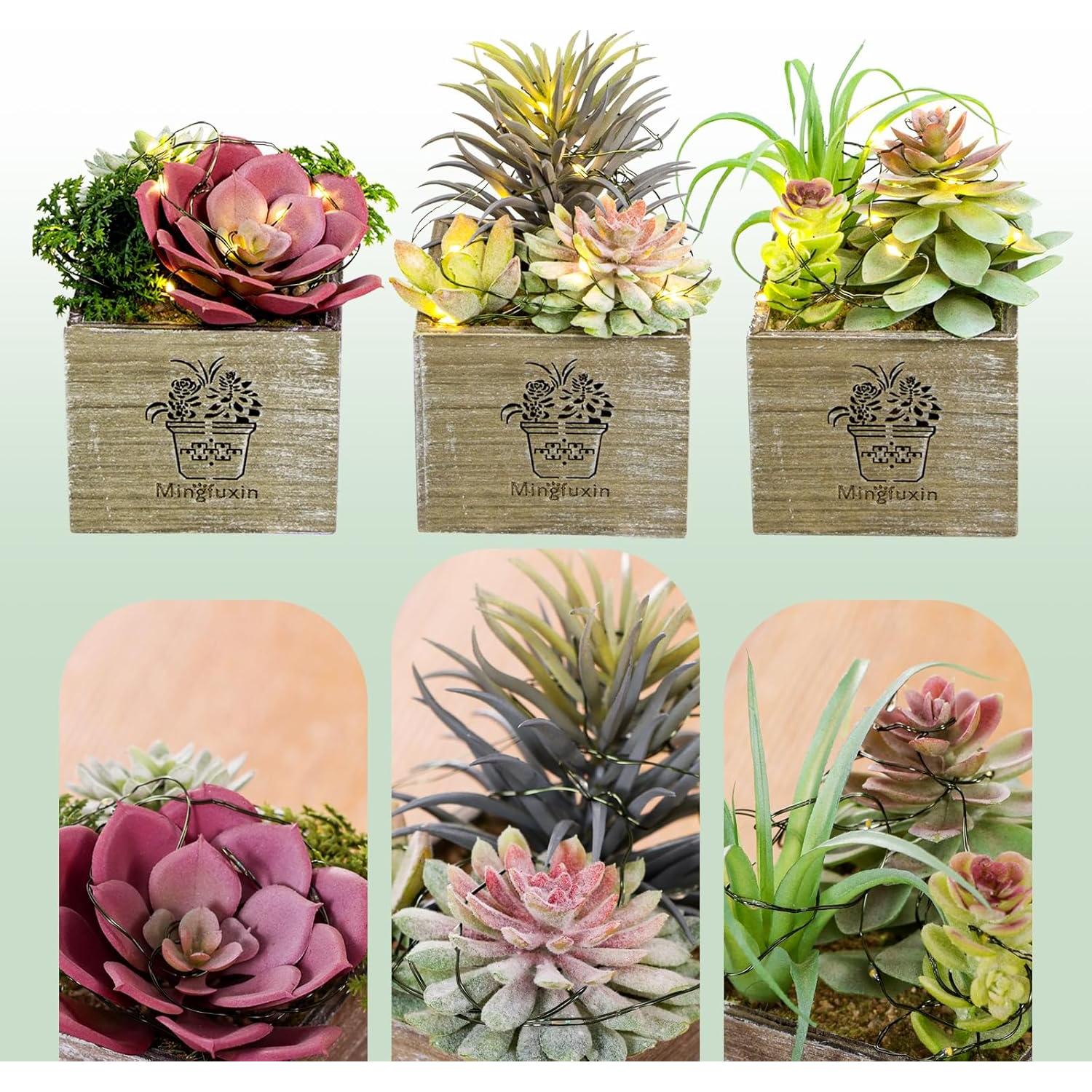 Plantas Suculentas Artificiales con Luces LED Mingfuxin - 3 Unidades